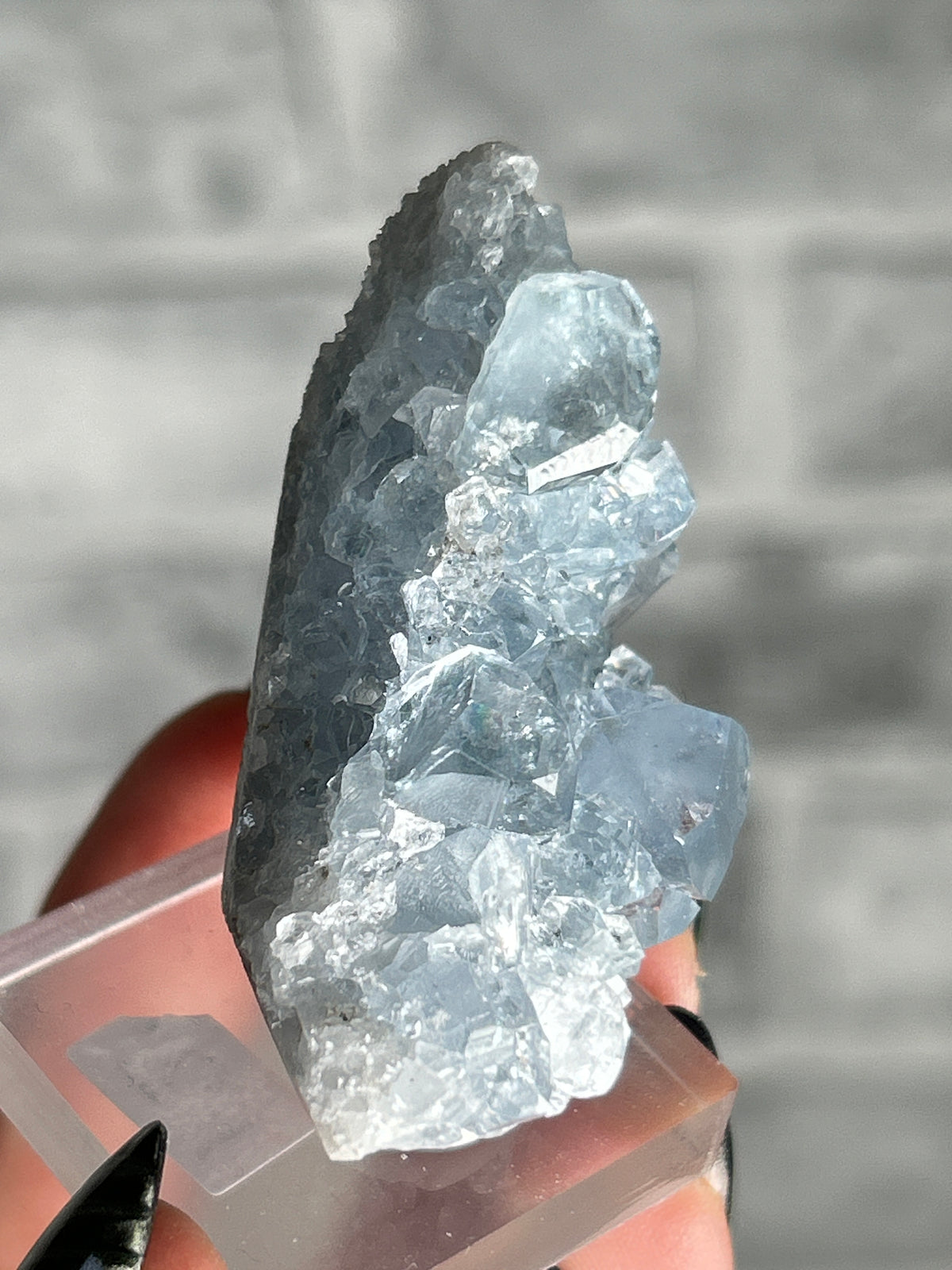 Madagascan Celestite
