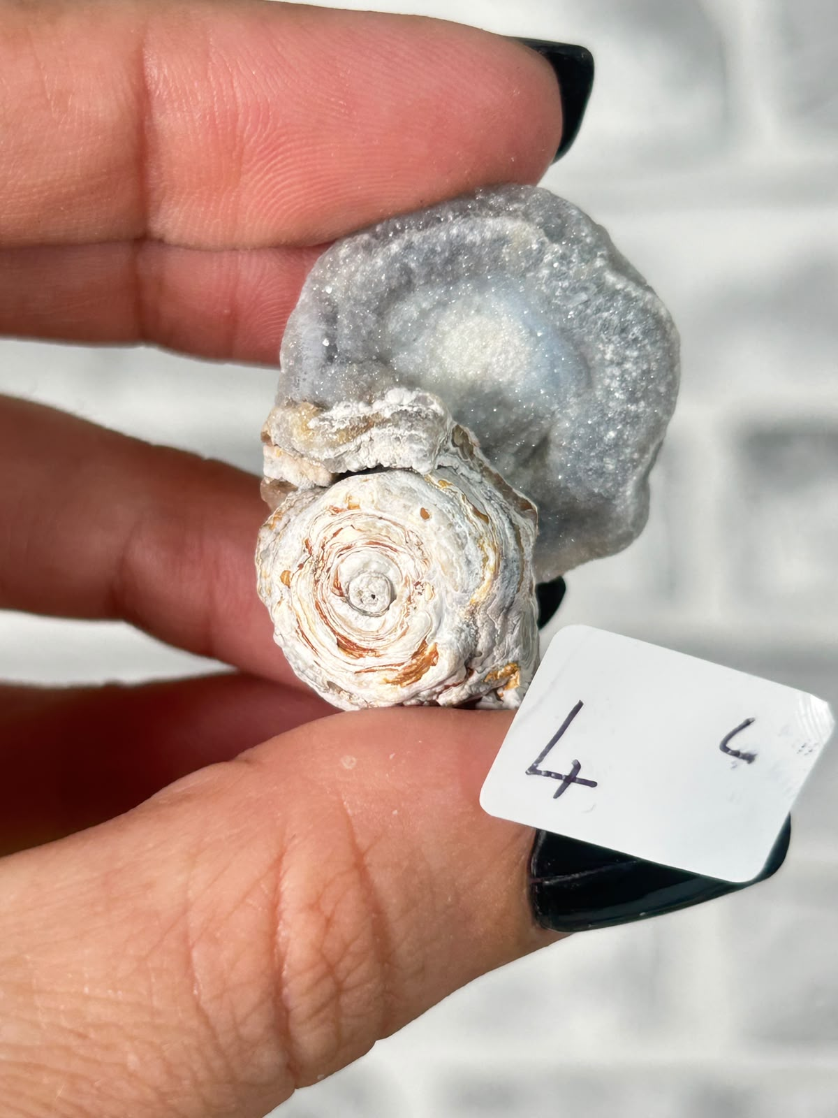 Chalcedony Agate Rosette #12