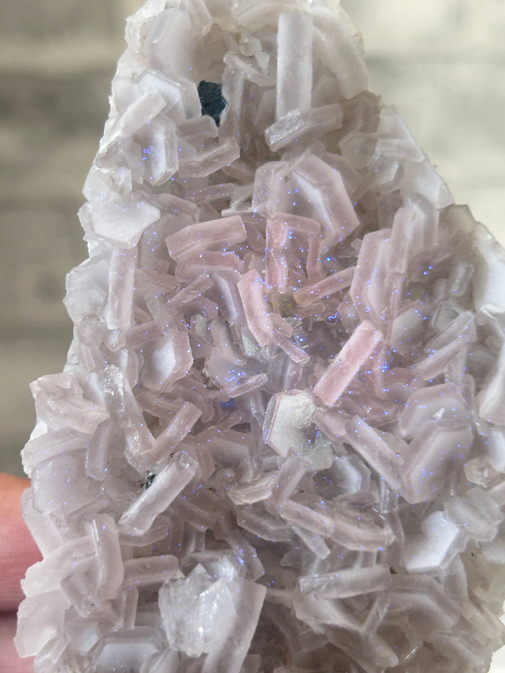 Coin Calcite Cluster from Fujian China