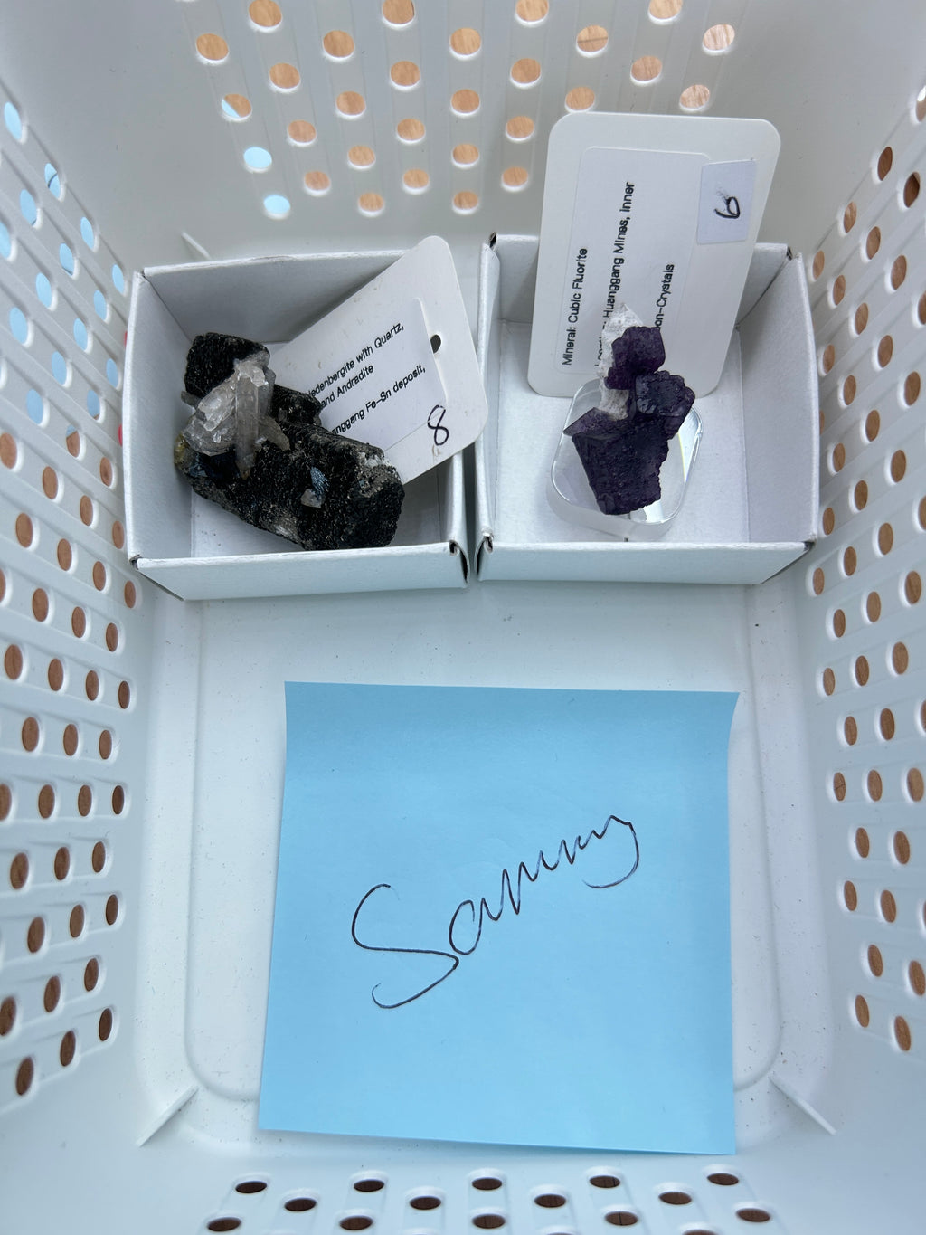 Live Sale Basket - Sammy