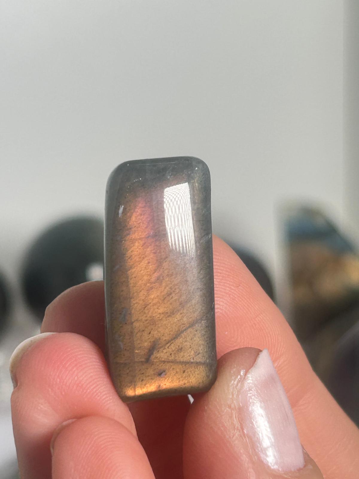 Gold Labradorite Minis (Pick Your Own)