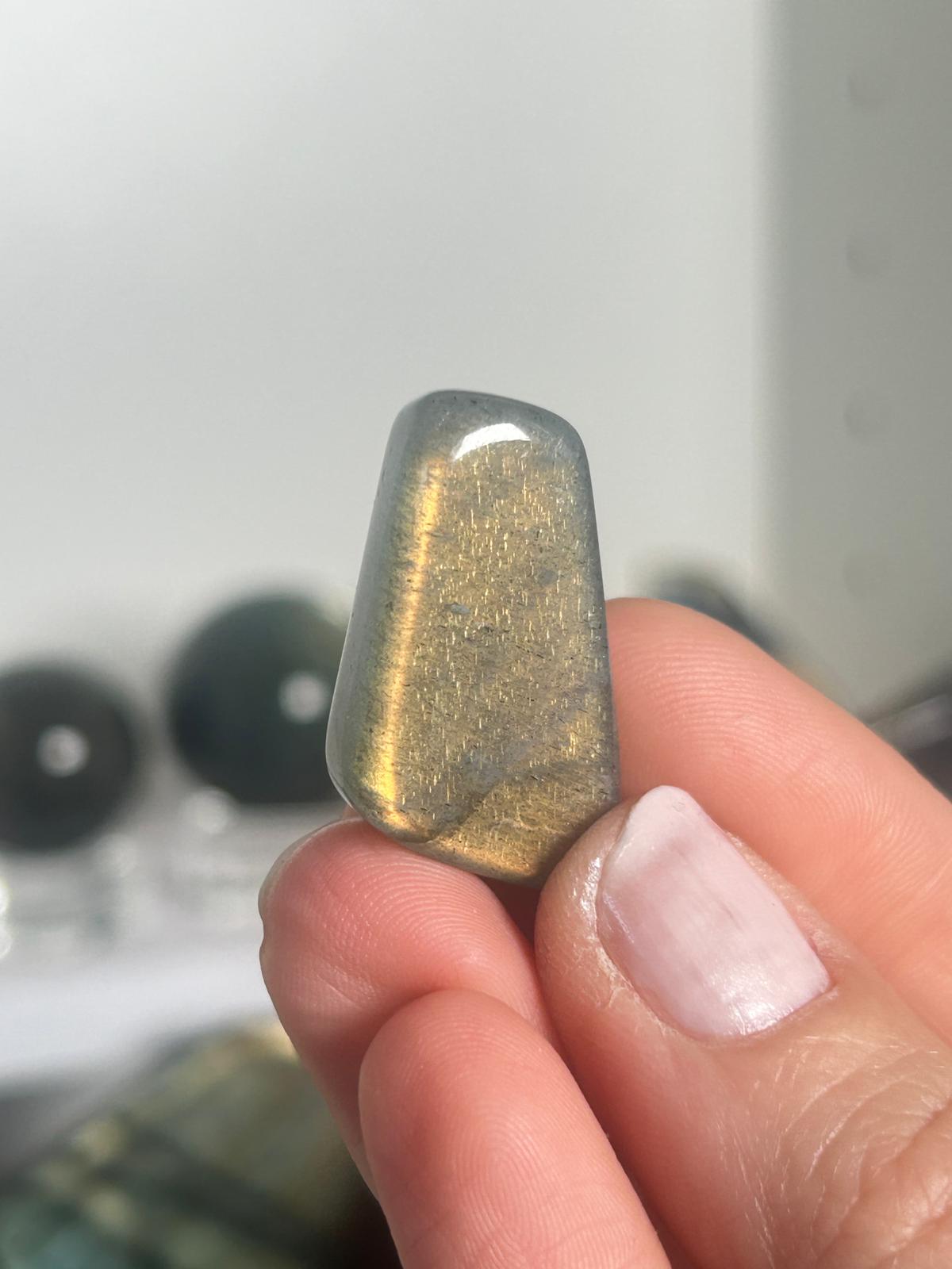 Gold Labradorite Minis (Pick Your Own)