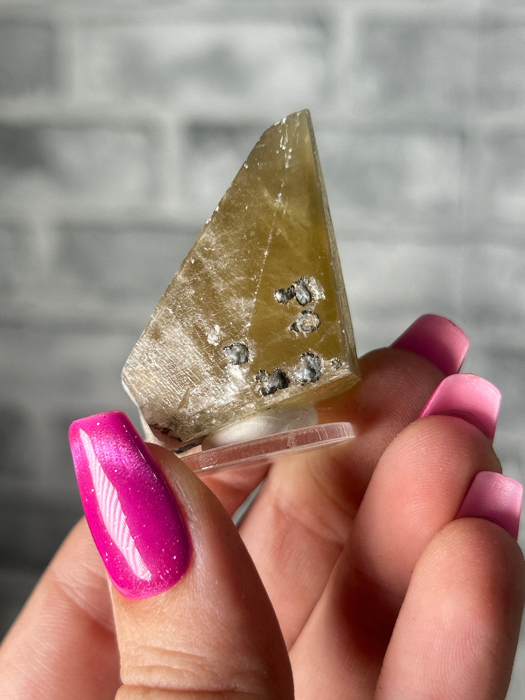 calcite tooth