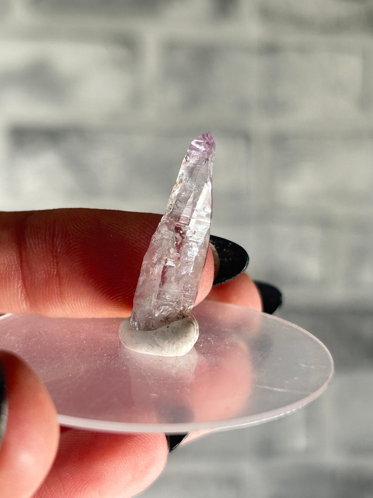 Vera Cruz Amethyst, Mexico