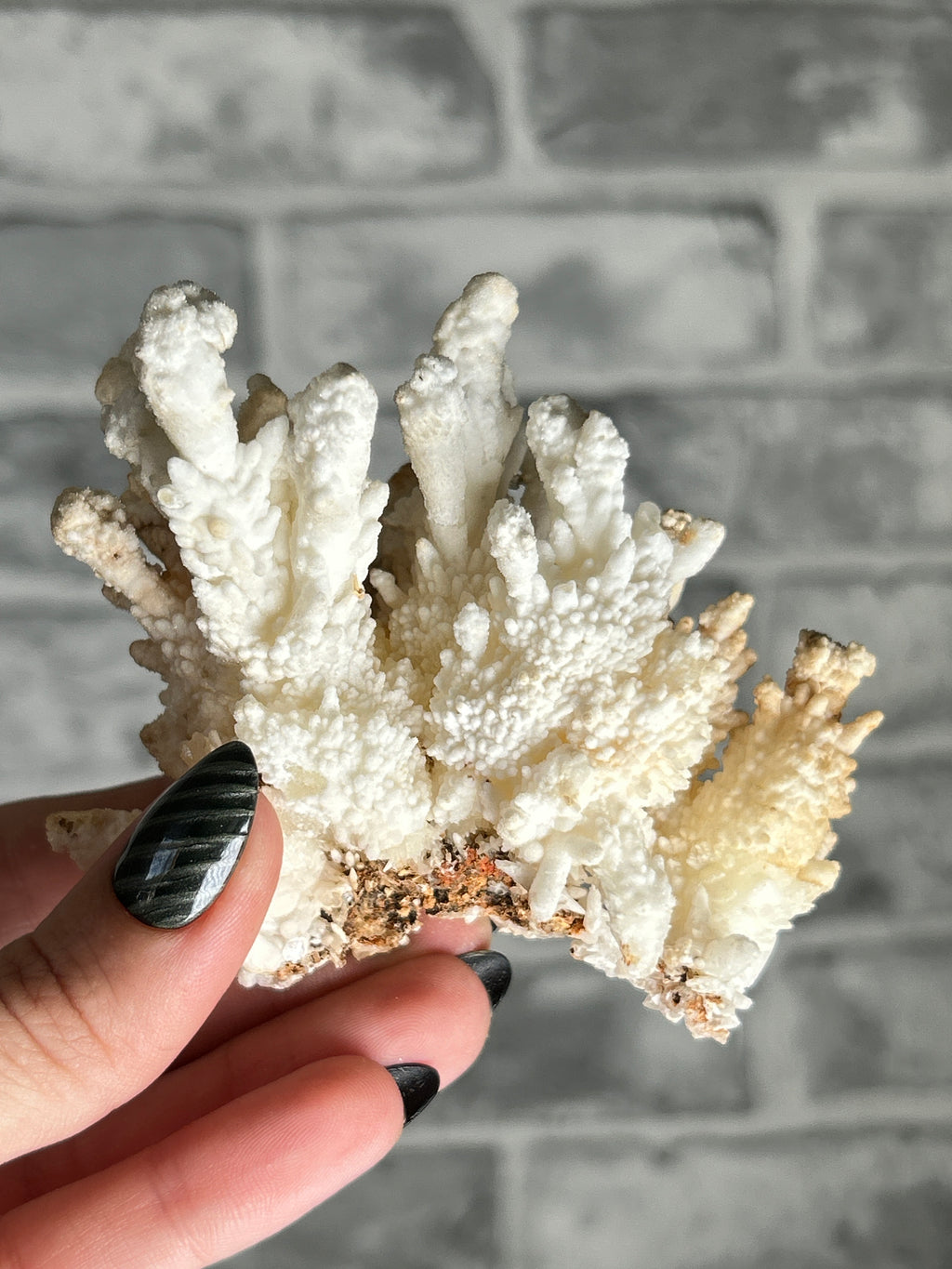 white Aragonite