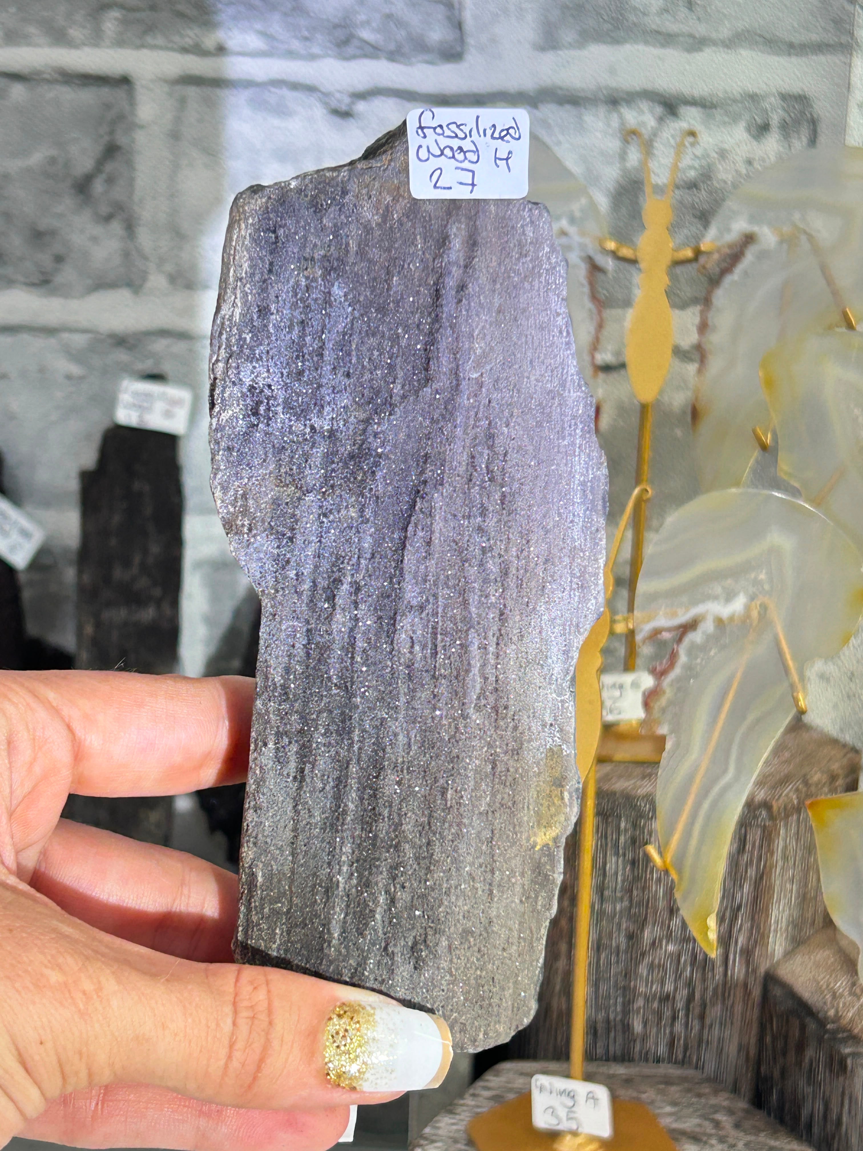 Fossilised Wood H