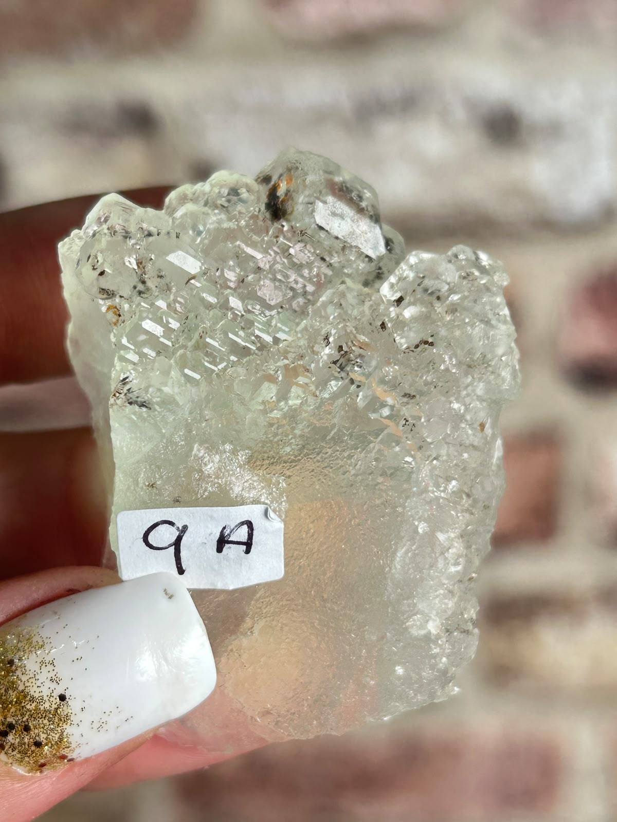 Garden Fluorite A