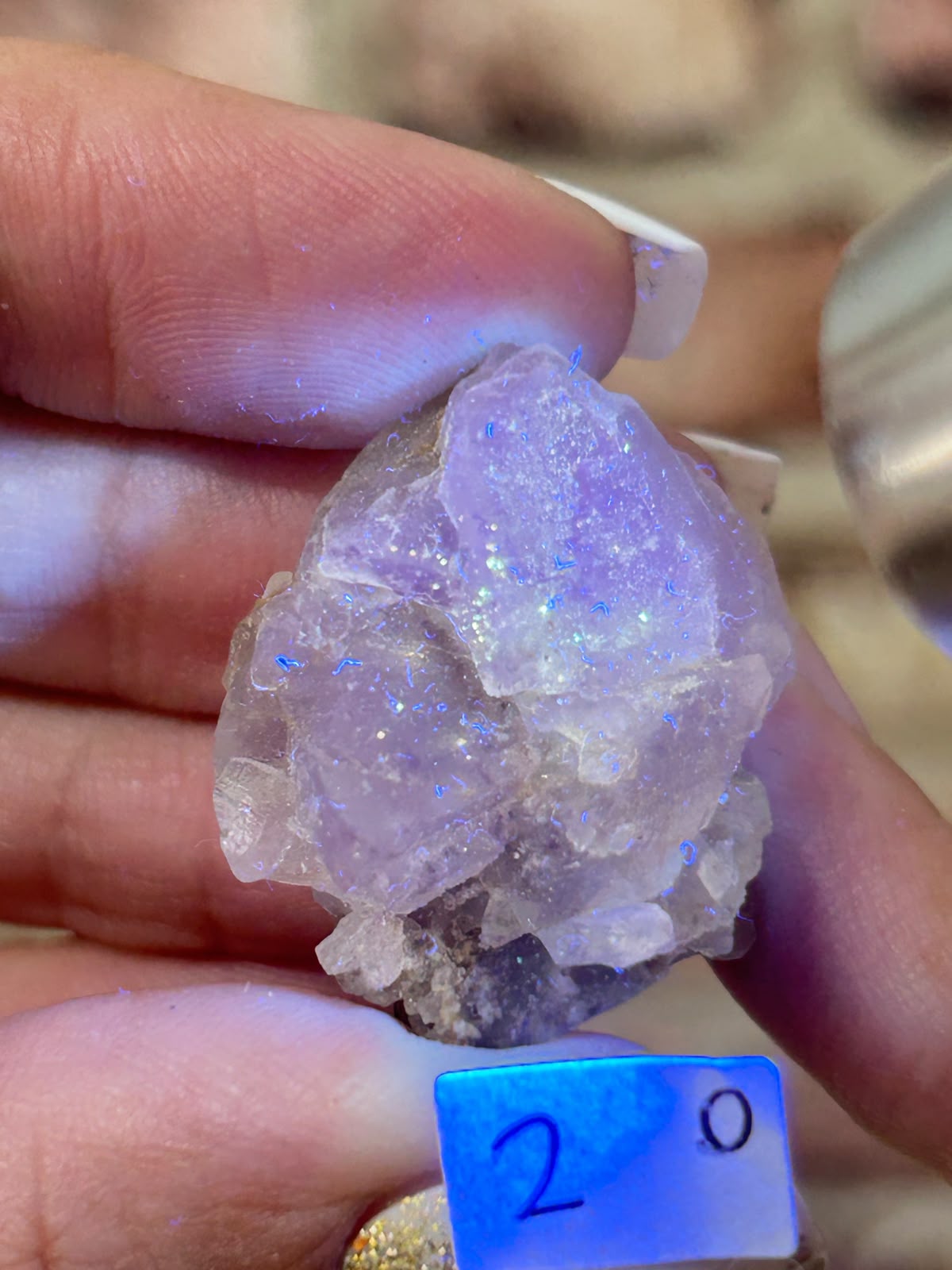 Petroleum / Galaxy Stepped Matrix Fluorite D