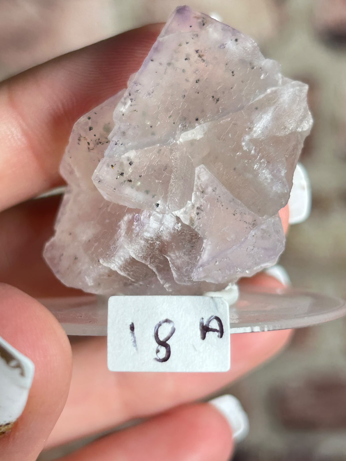Petroleum / Galaxy Stepped Matrix Fluorite A