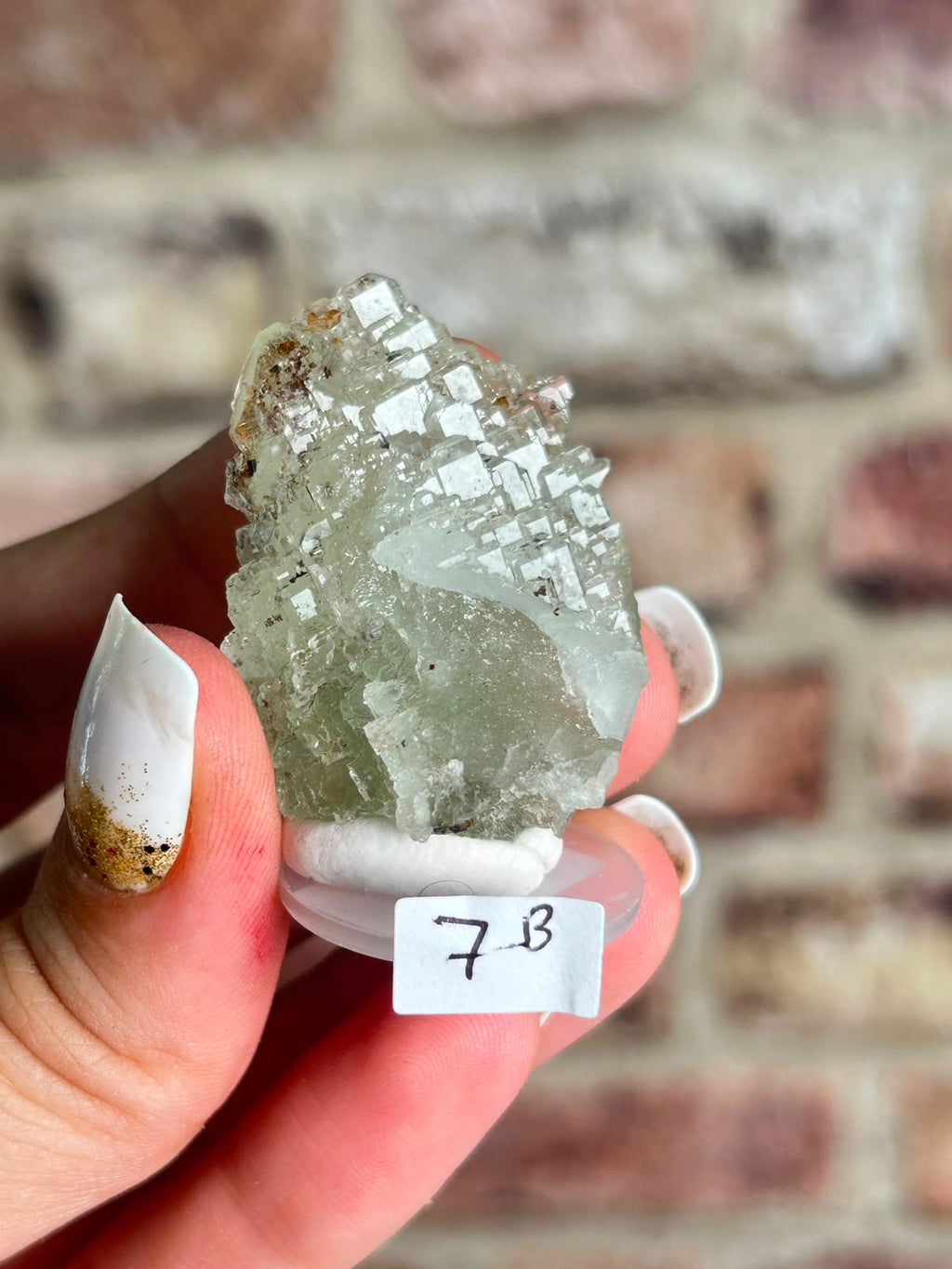 Garden Fluorite B