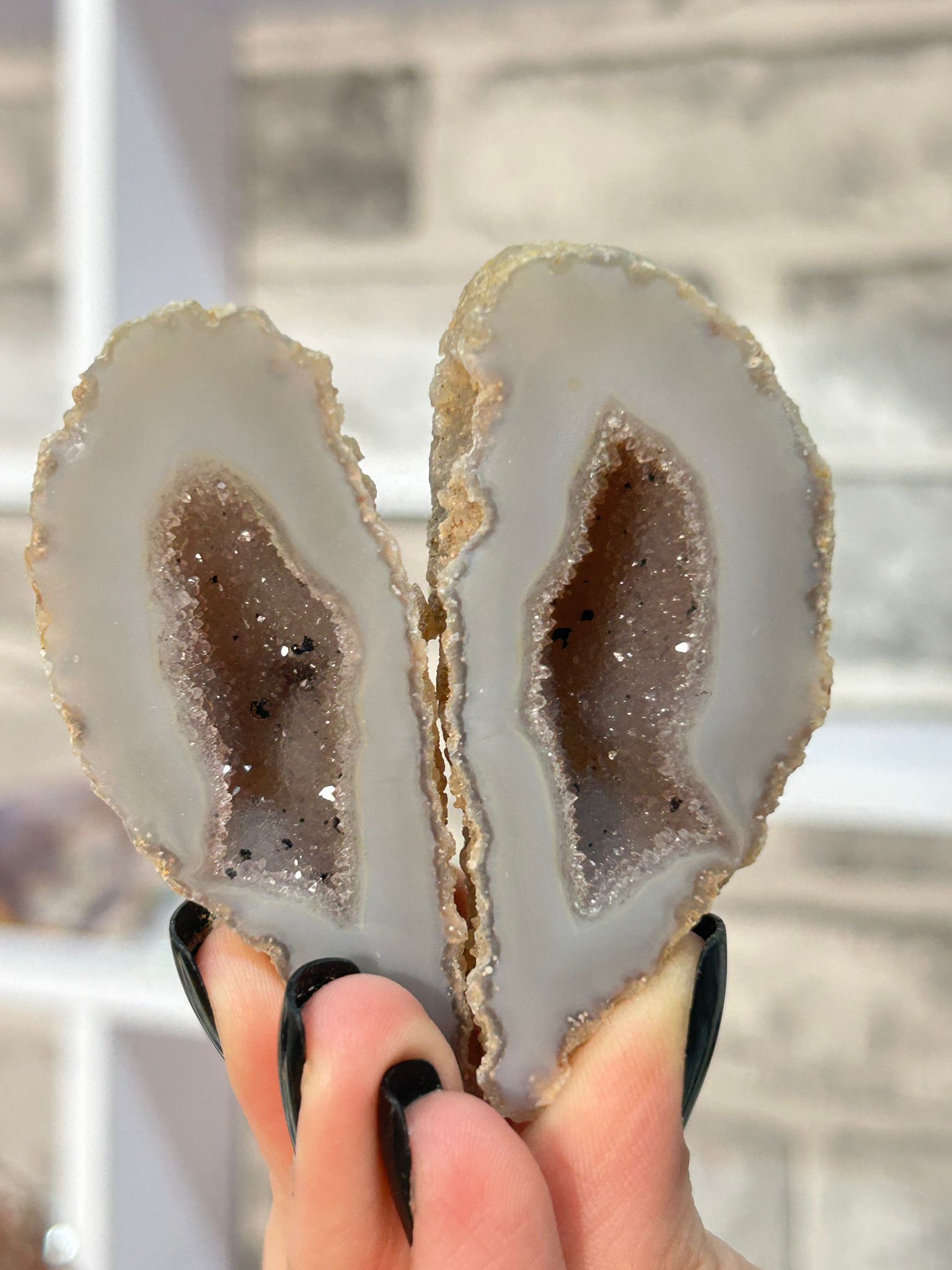 Agate Banded Geode Pair Purple Druzy #5