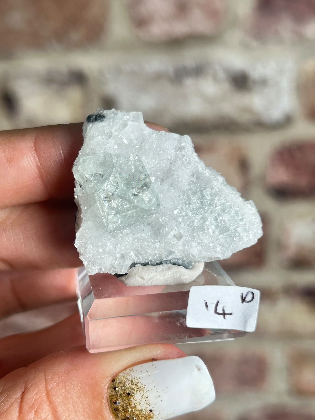Glassy Fluorite on Quartz D