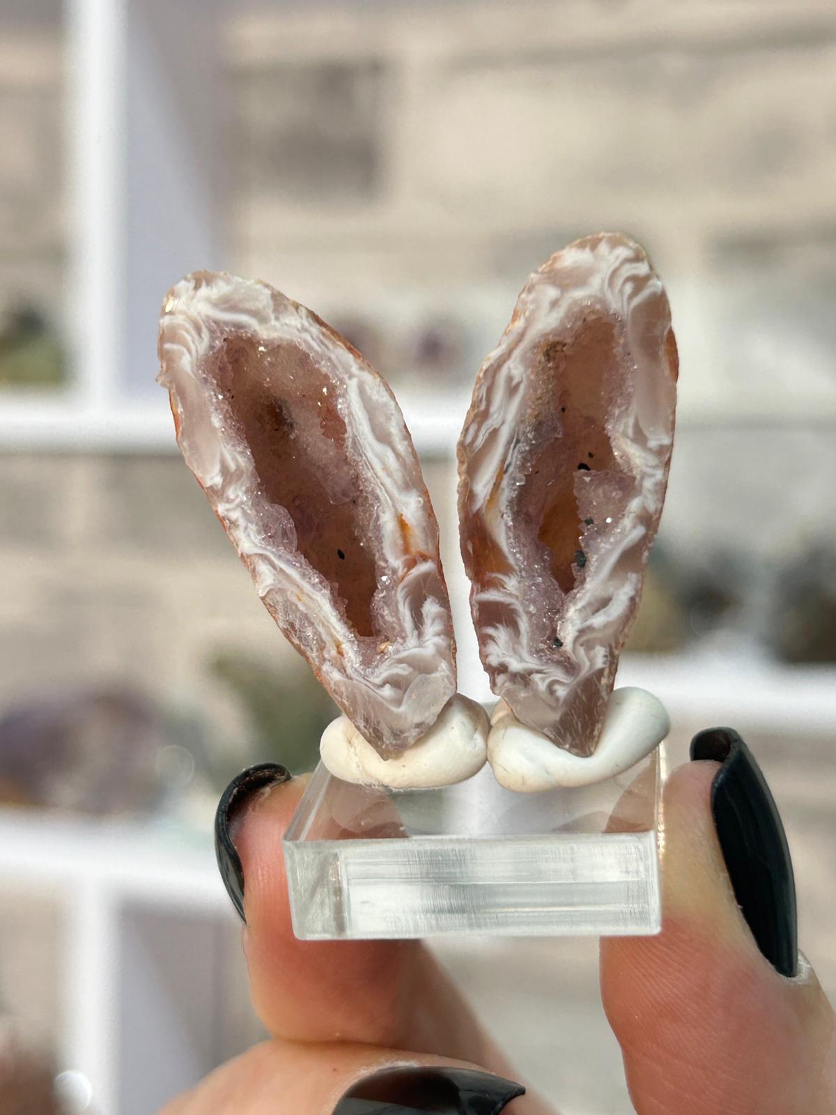 Oco Feather Agate with Amethyst Druzy Pair #4