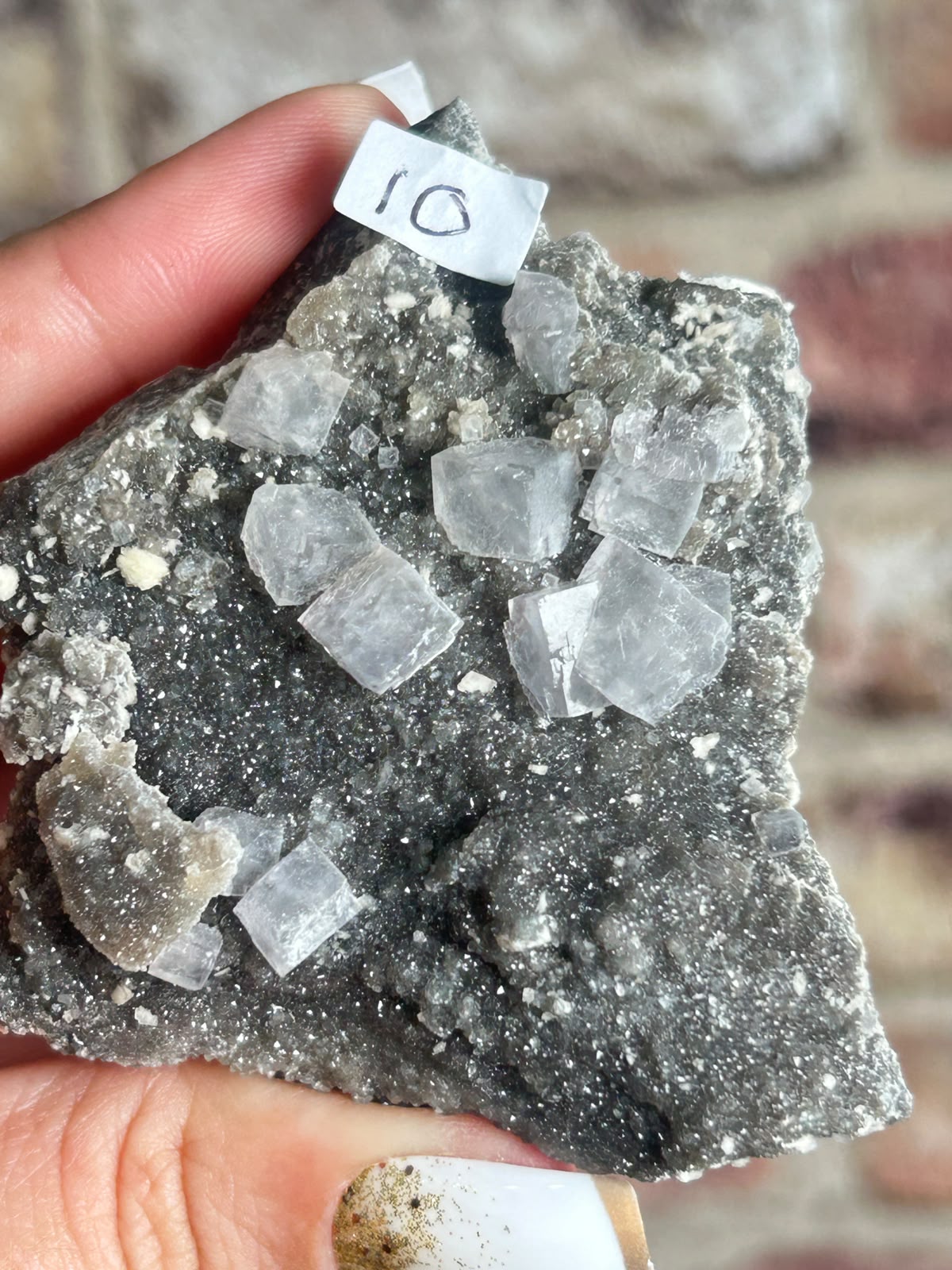Fluorite on Black Quartz