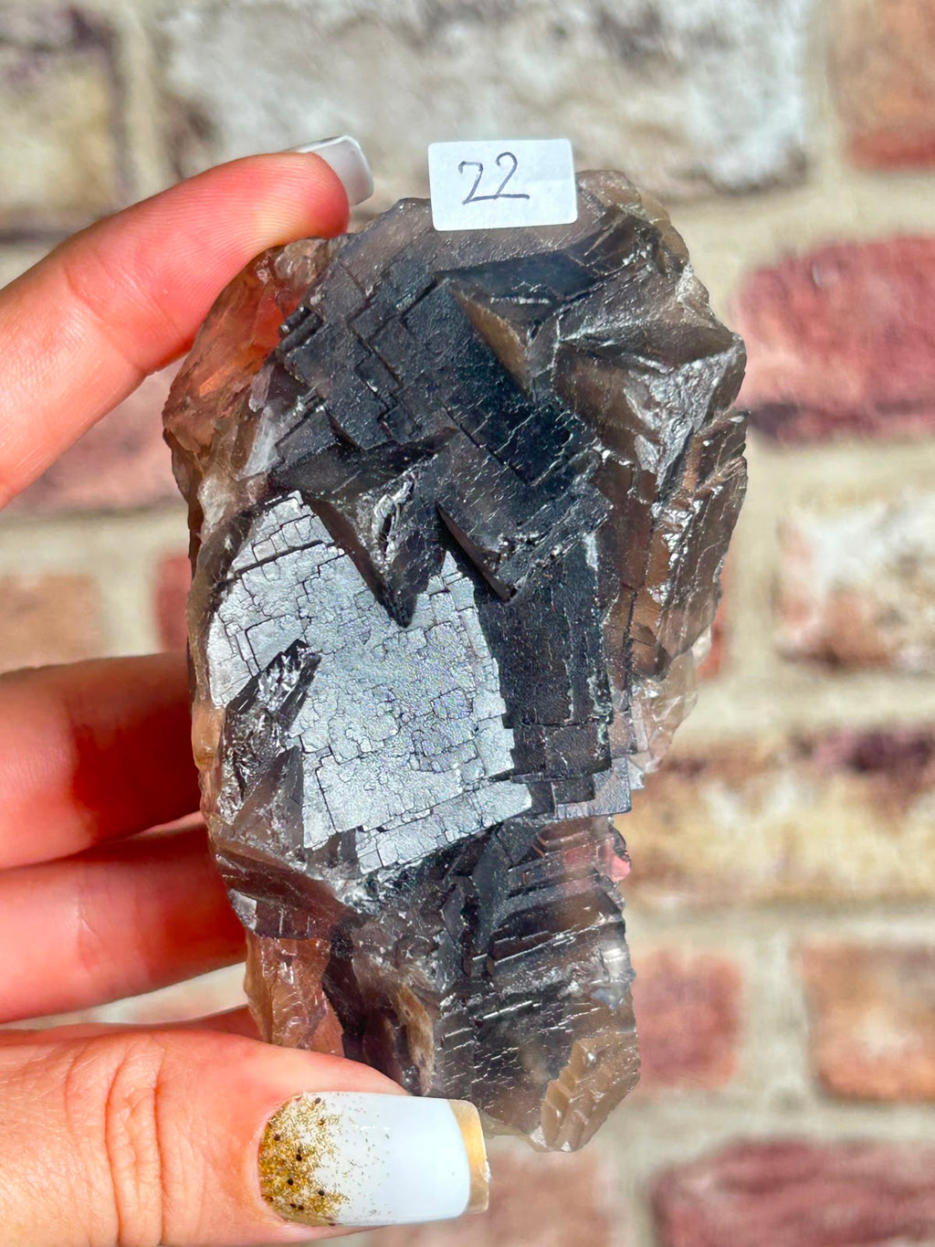 Black Fluorite
