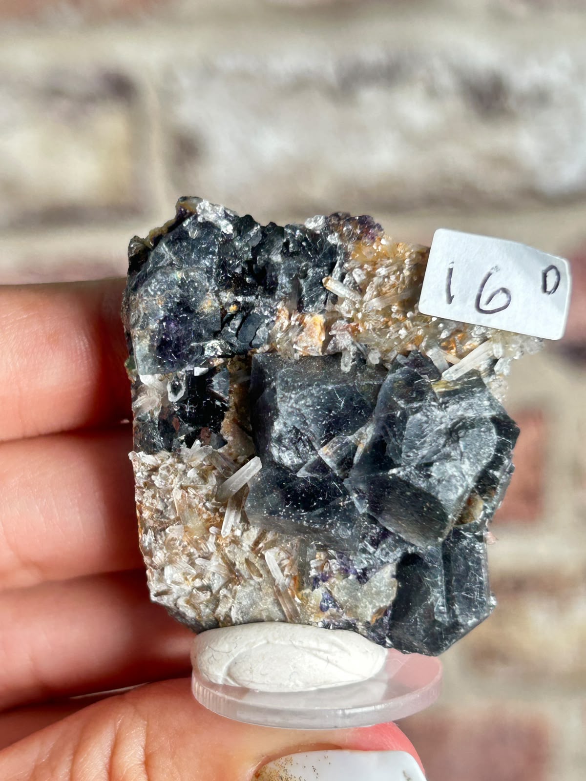 Phantom Fluorite with Actinolite & Rutile D