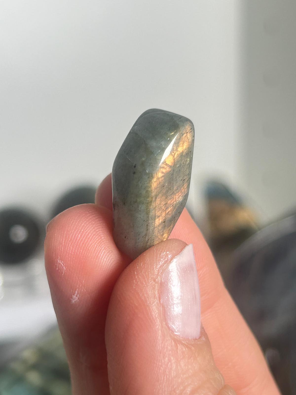 Gold Labradorite Minis (Pick Your Own)