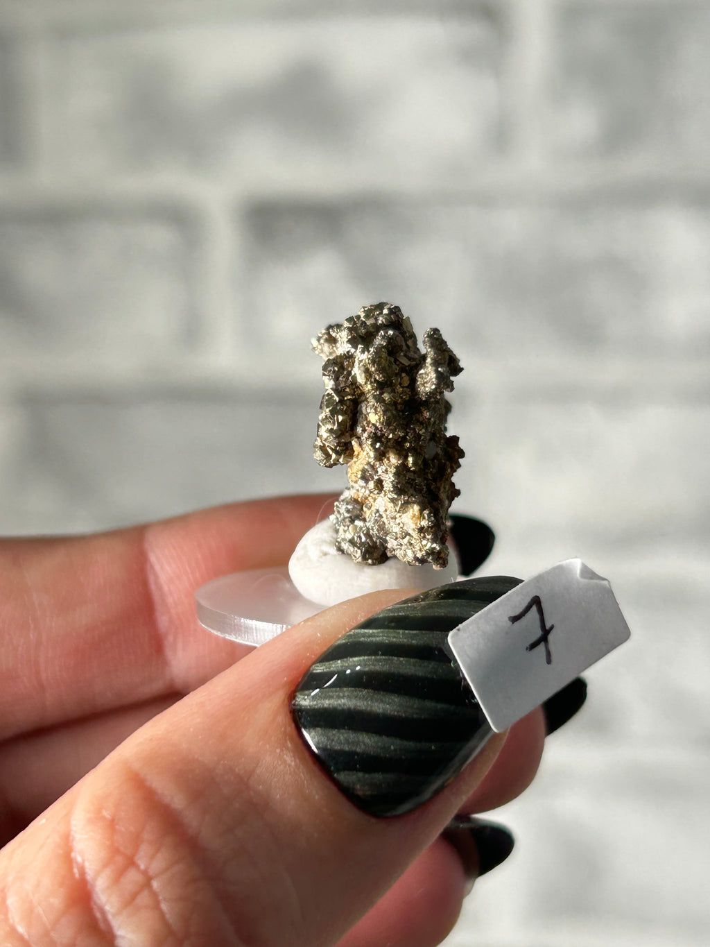 Pyrite from Yaogangxian Mine (YGX)