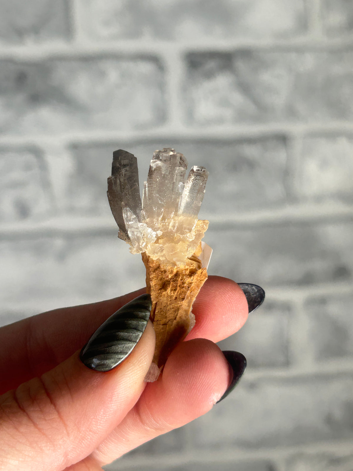 Tree Calcite, Longyan, Fujian, China