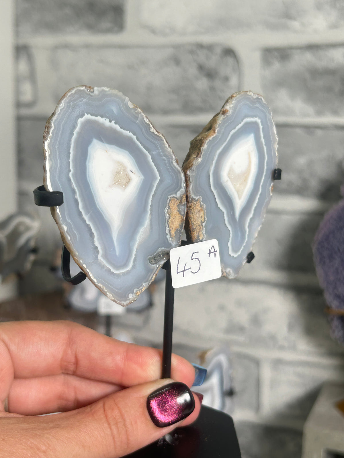 Blue Banded Agate Nodule Pair on Custom Stand A
