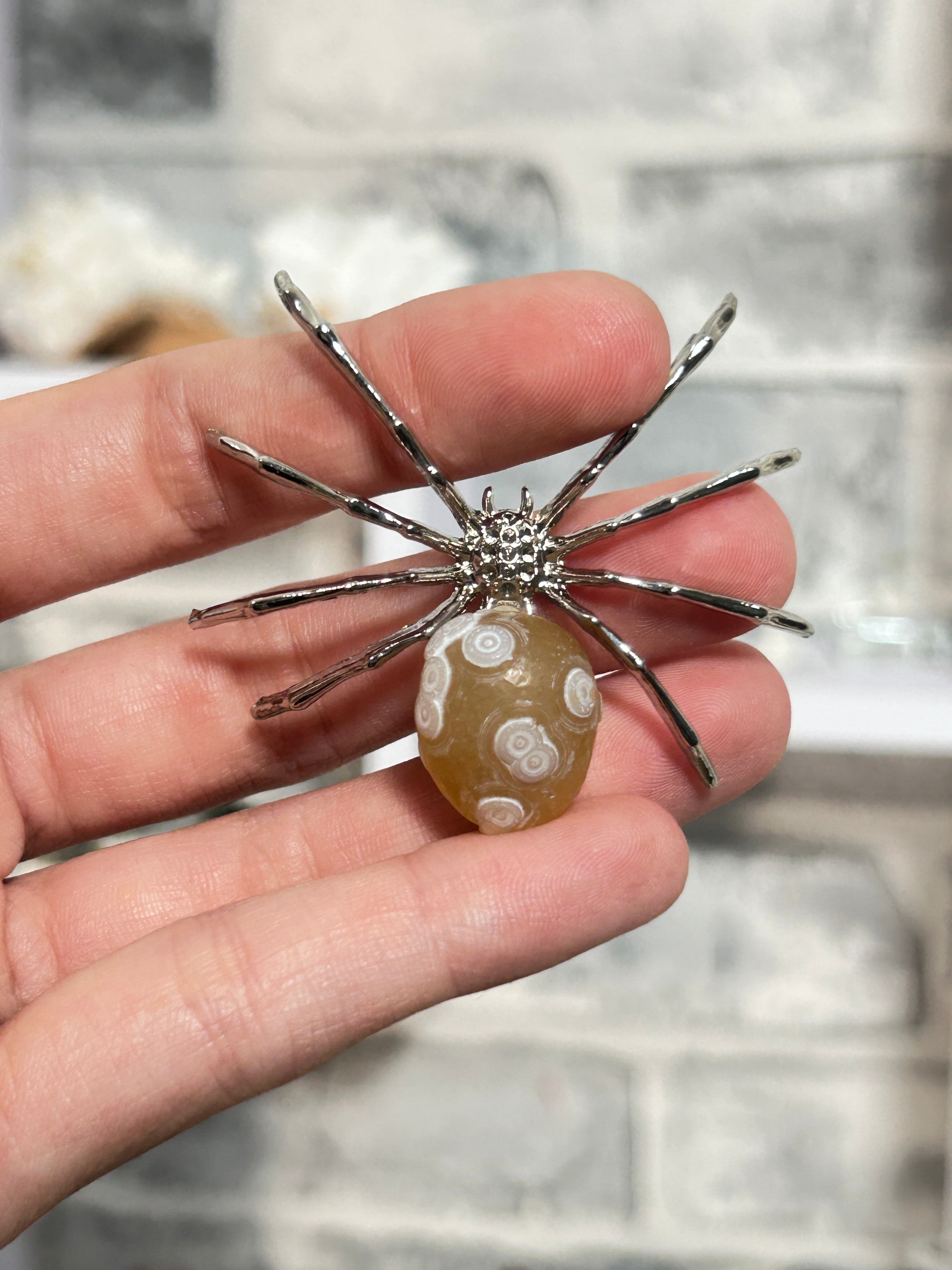 Gobi agate spider 2