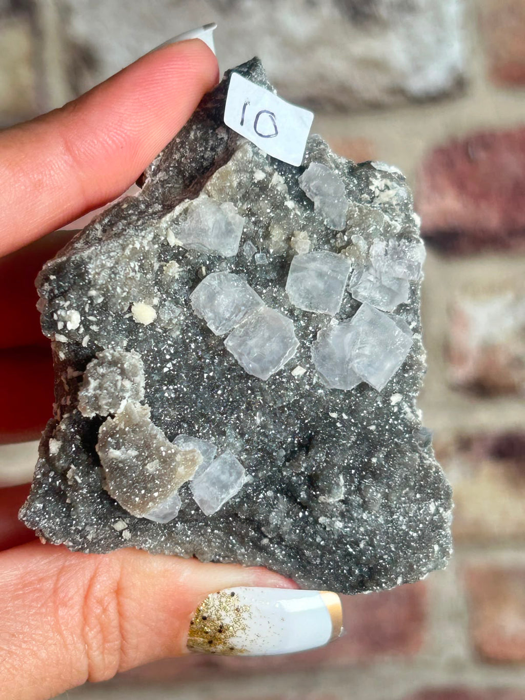 Fluorite on Black Quartz