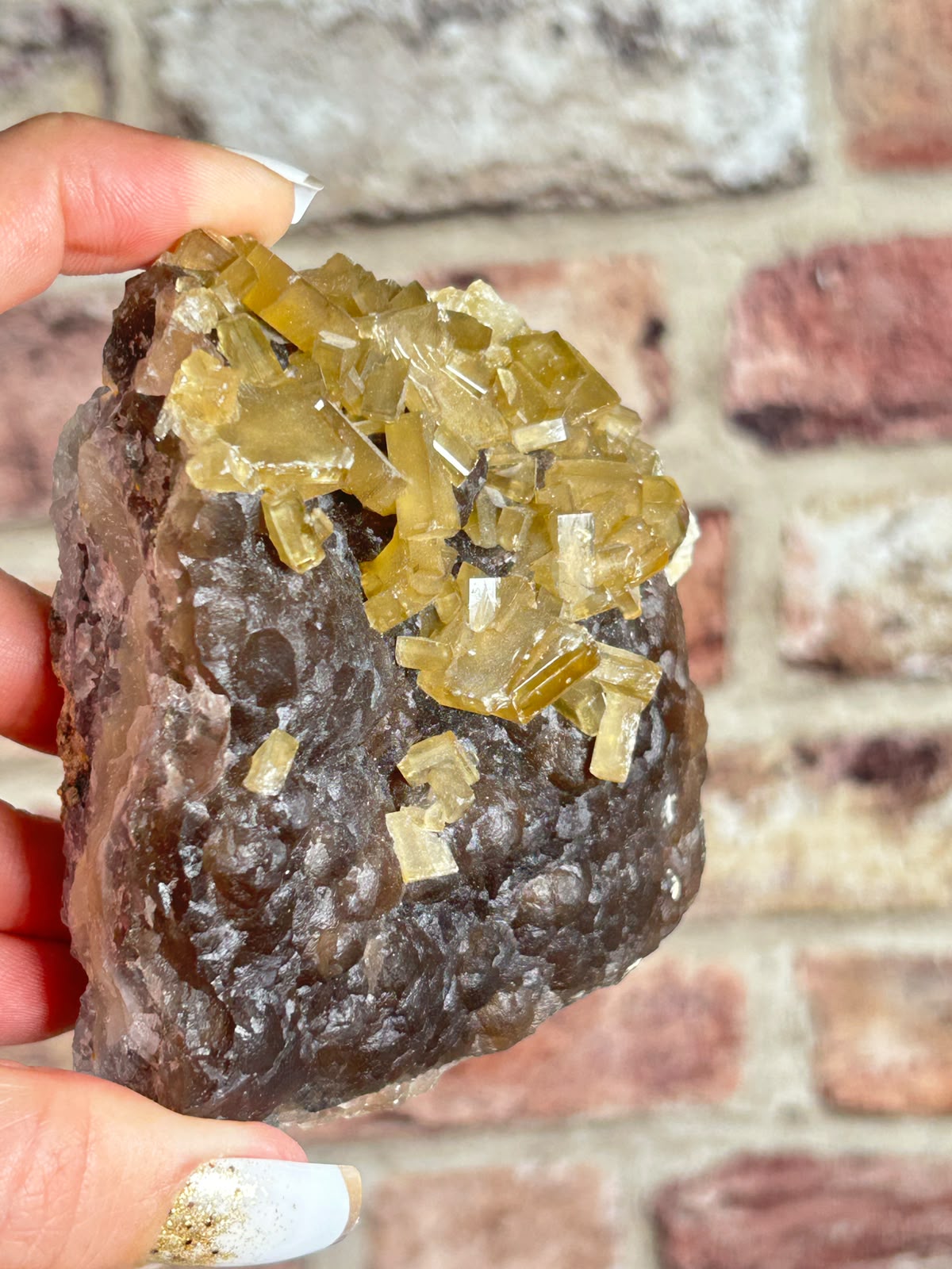 Golden Barite on Botryoidal Fluorite