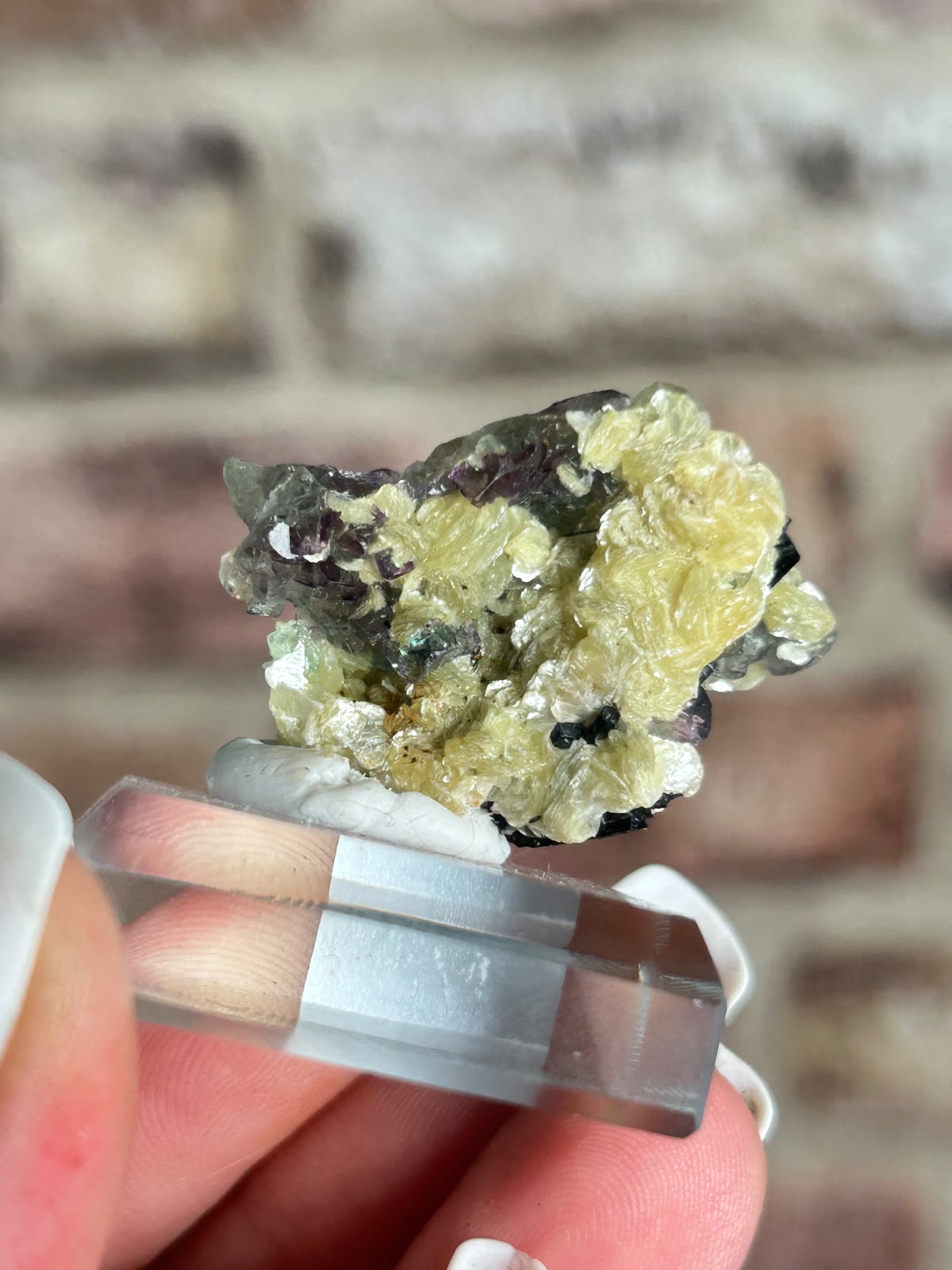 Phantom Fluorite with Yellow Muscovite B
