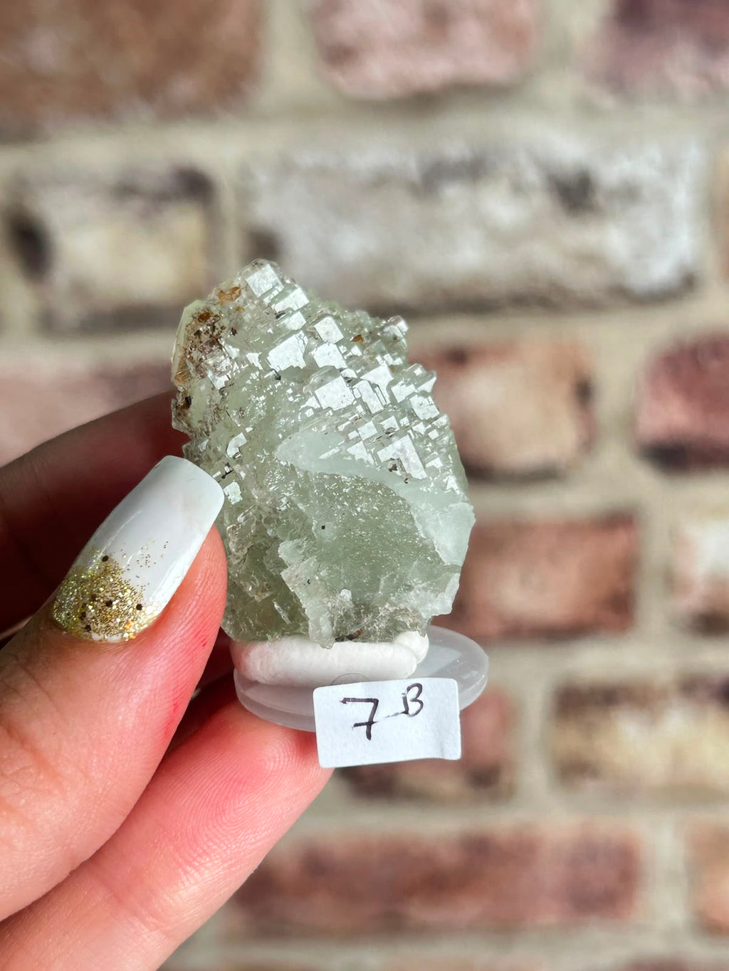 Garden Fluorite B