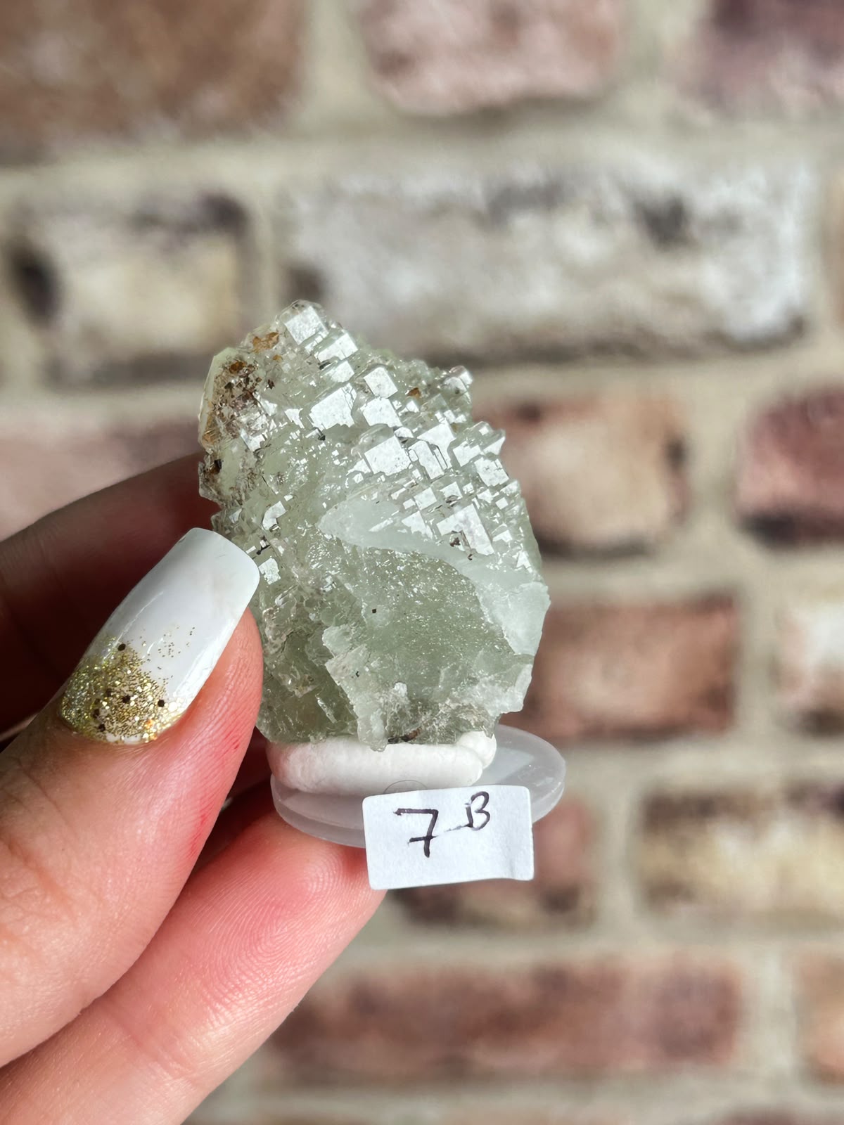 Garden Fluorite B