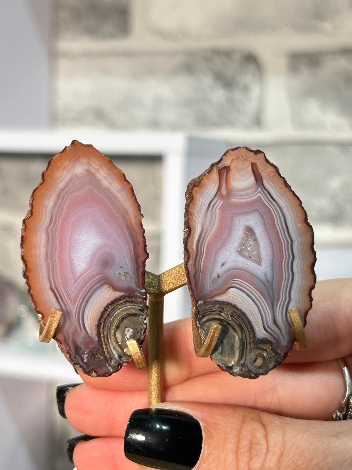 Zhangzhou Banded Agate Slice Pair