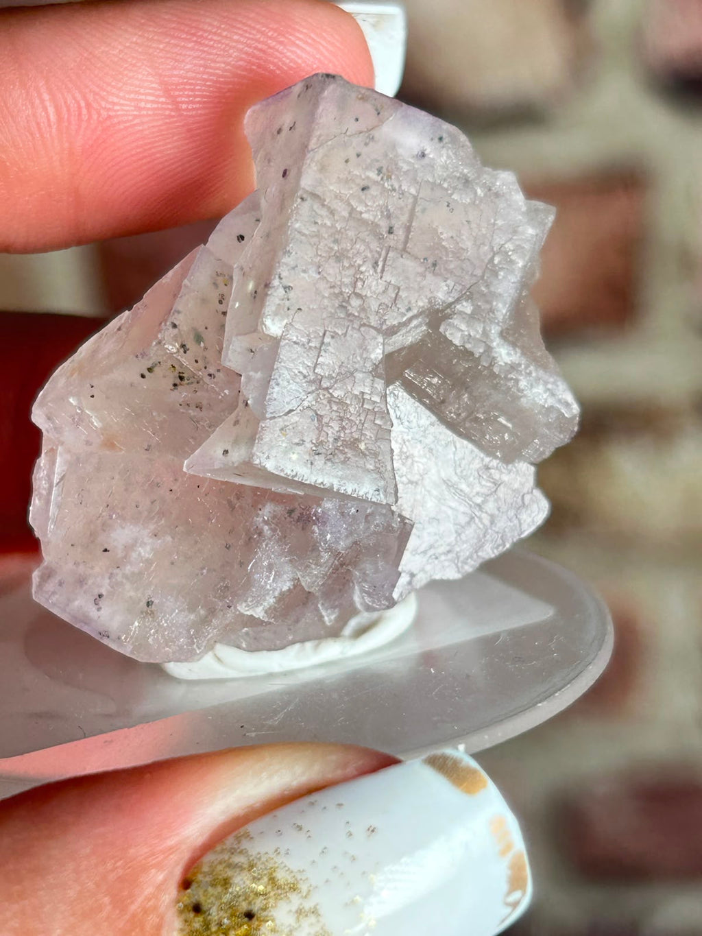 Petroleum / Galaxy Stepped Matrix Fluorite A