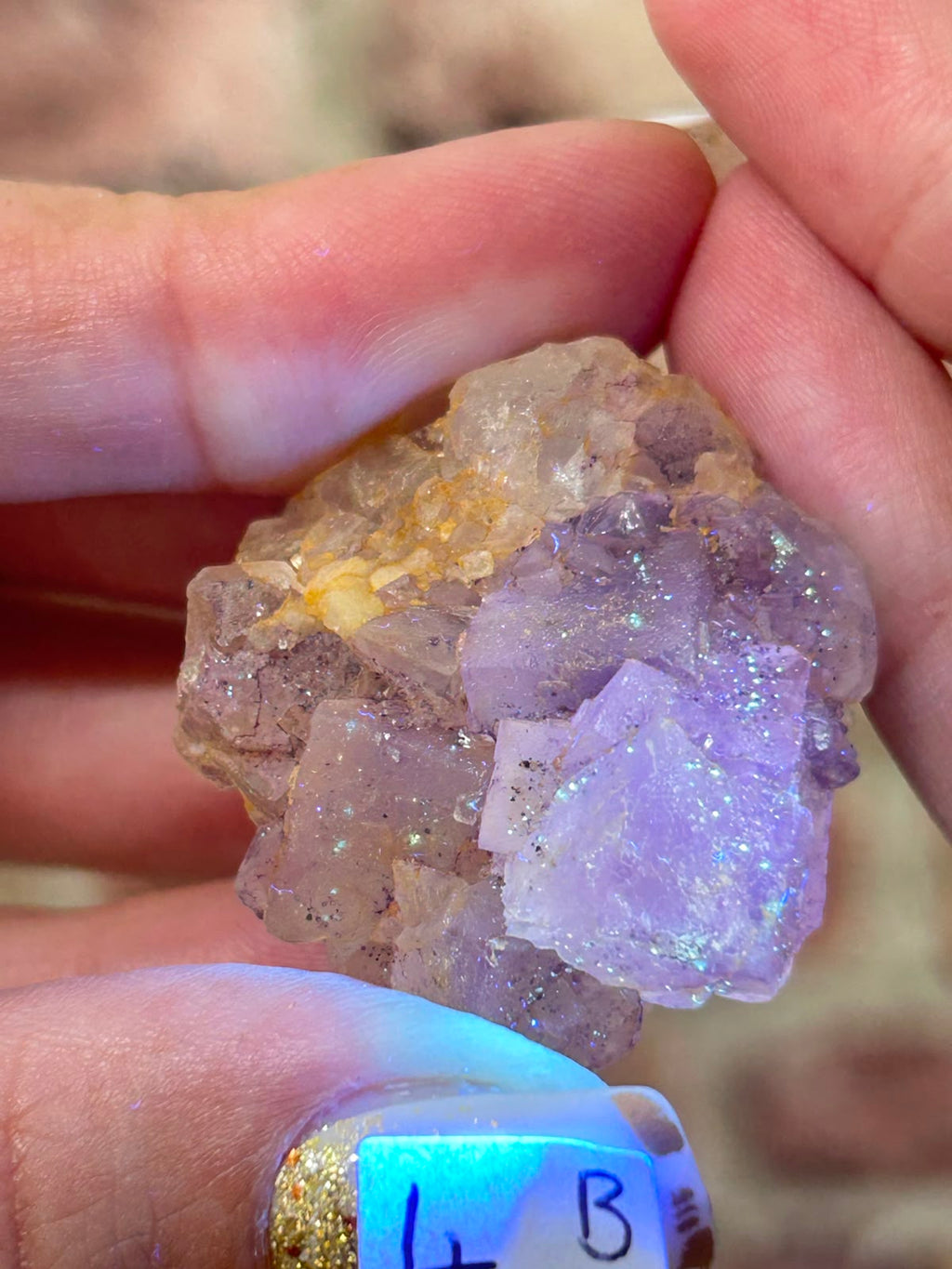 Petroleum / Galaxy Stepped Matrix Fluorite B