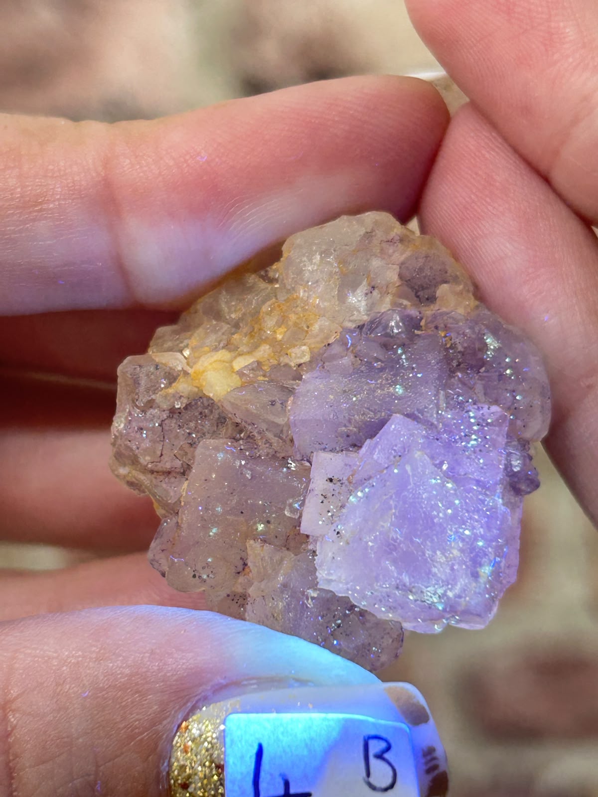 Petroleum / Galaxy Stepped Matrix Fluorite B