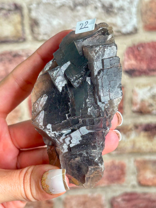 Black Fluorite