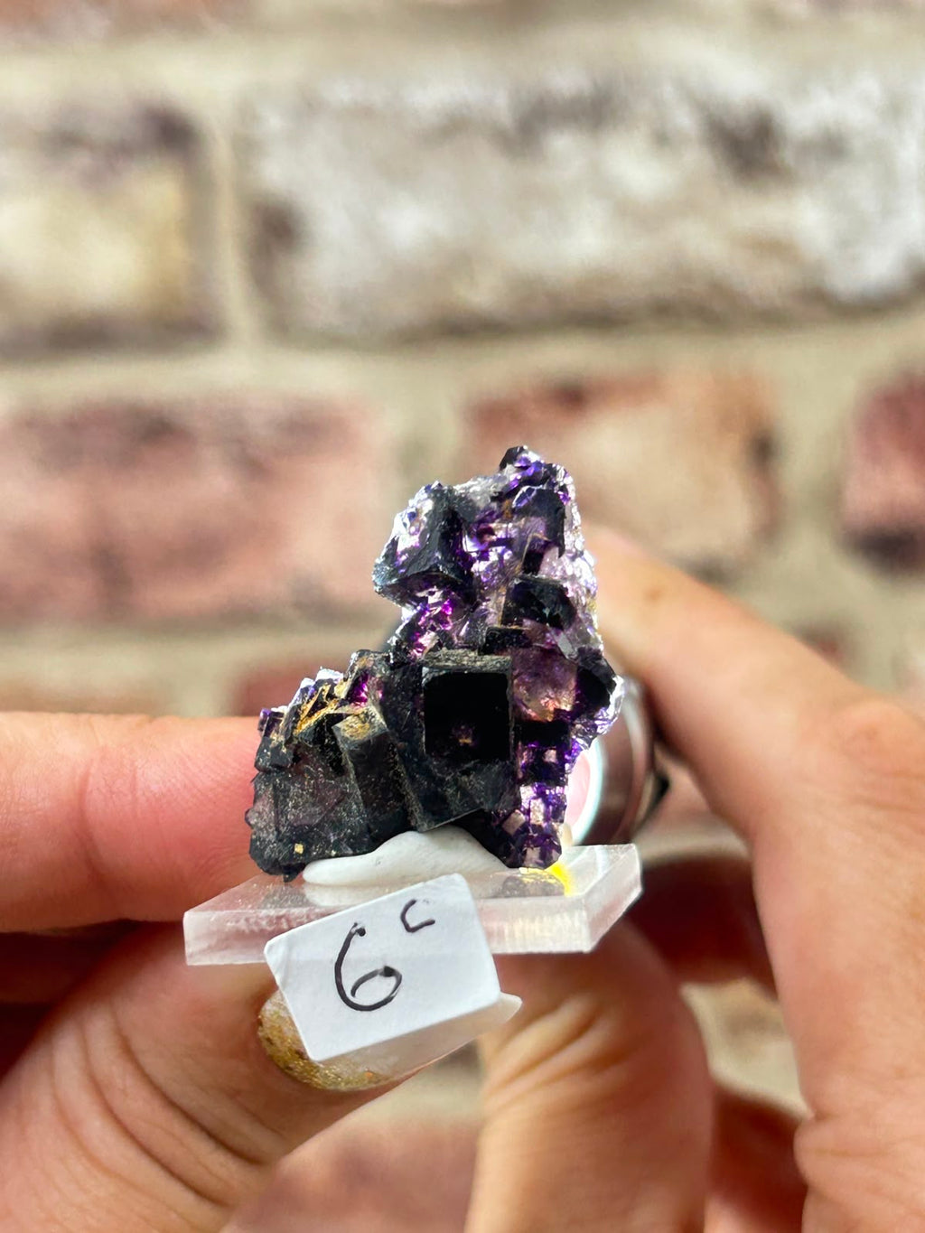 Phantom Fluorite with Actinolite & Rutile C