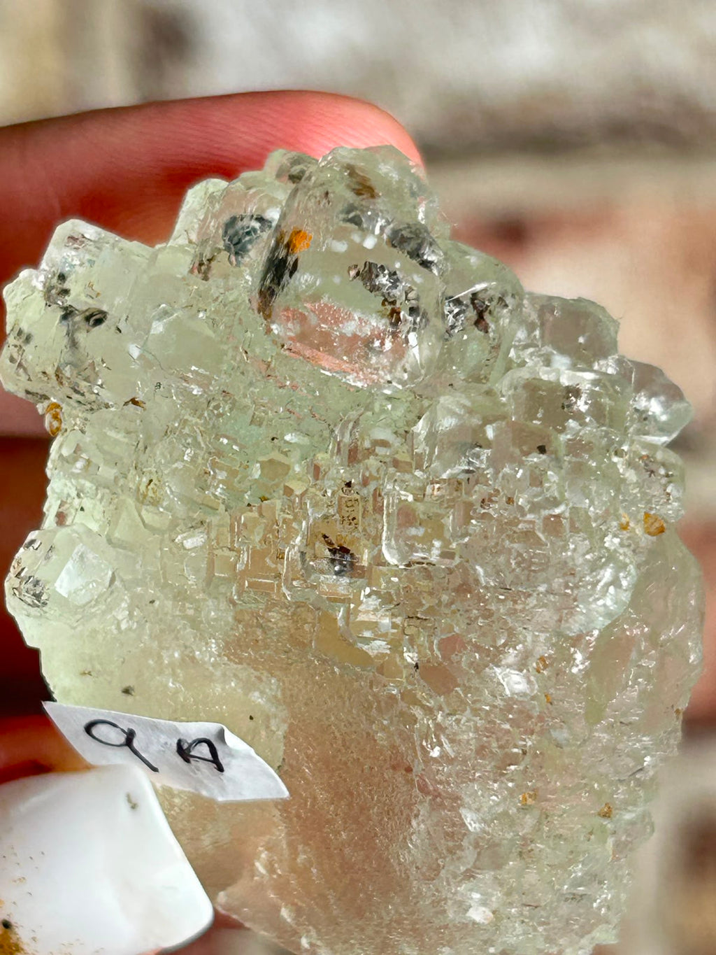 Garden Fluorite A
