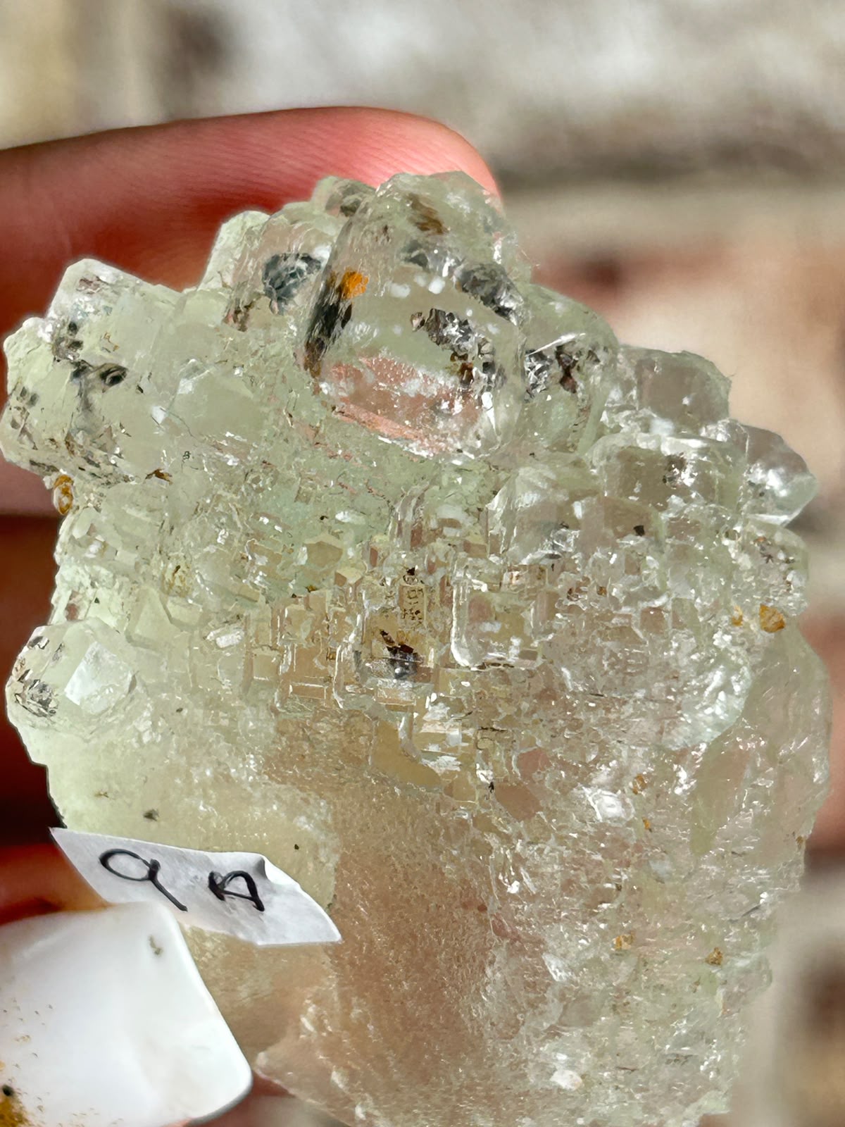 Garden Fluorite A