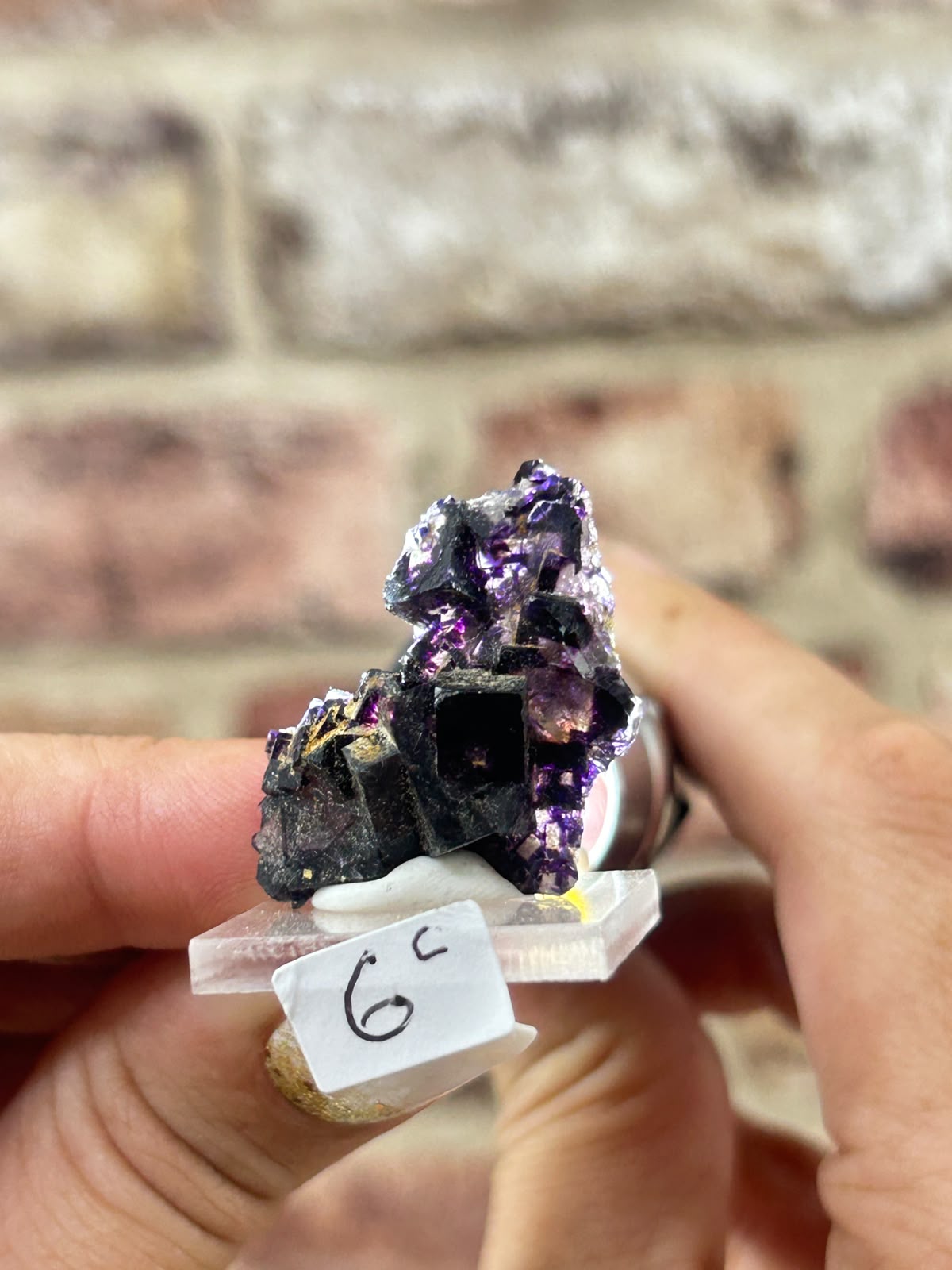 Phantom Fluorite with Actinolite & Rutile D
