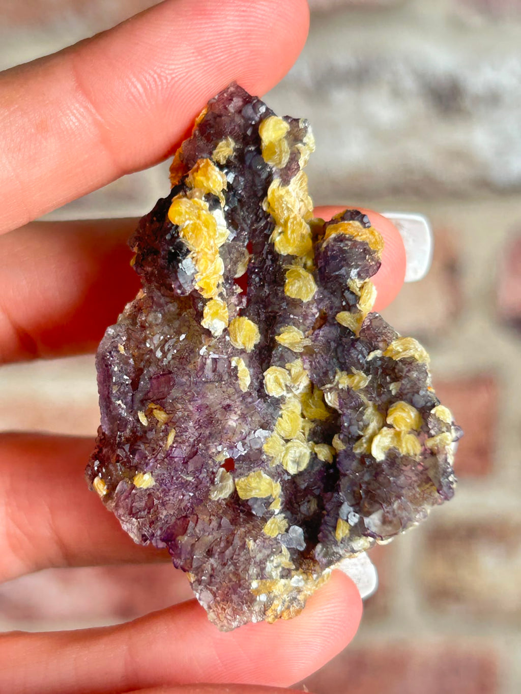 Phantom Fluorite with Yellow Muscovite A