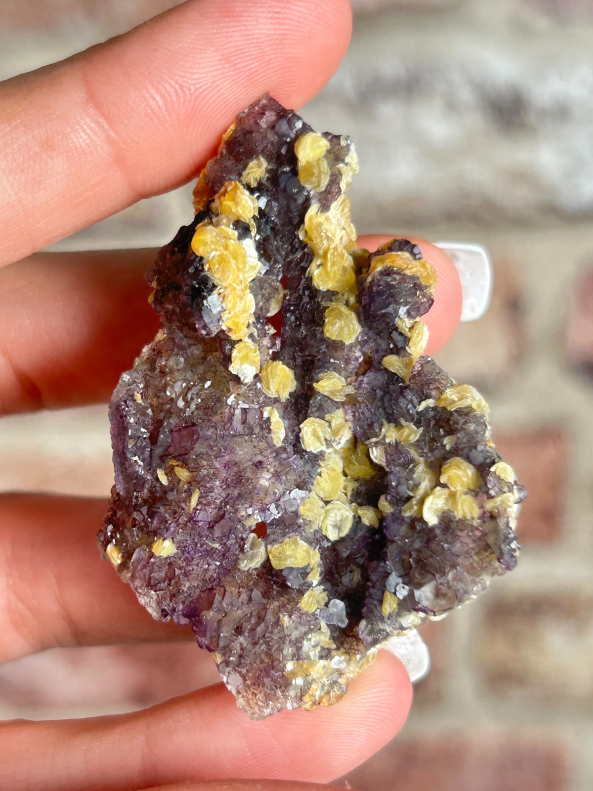 Phantom Fluorite with Yellow Muscovite A