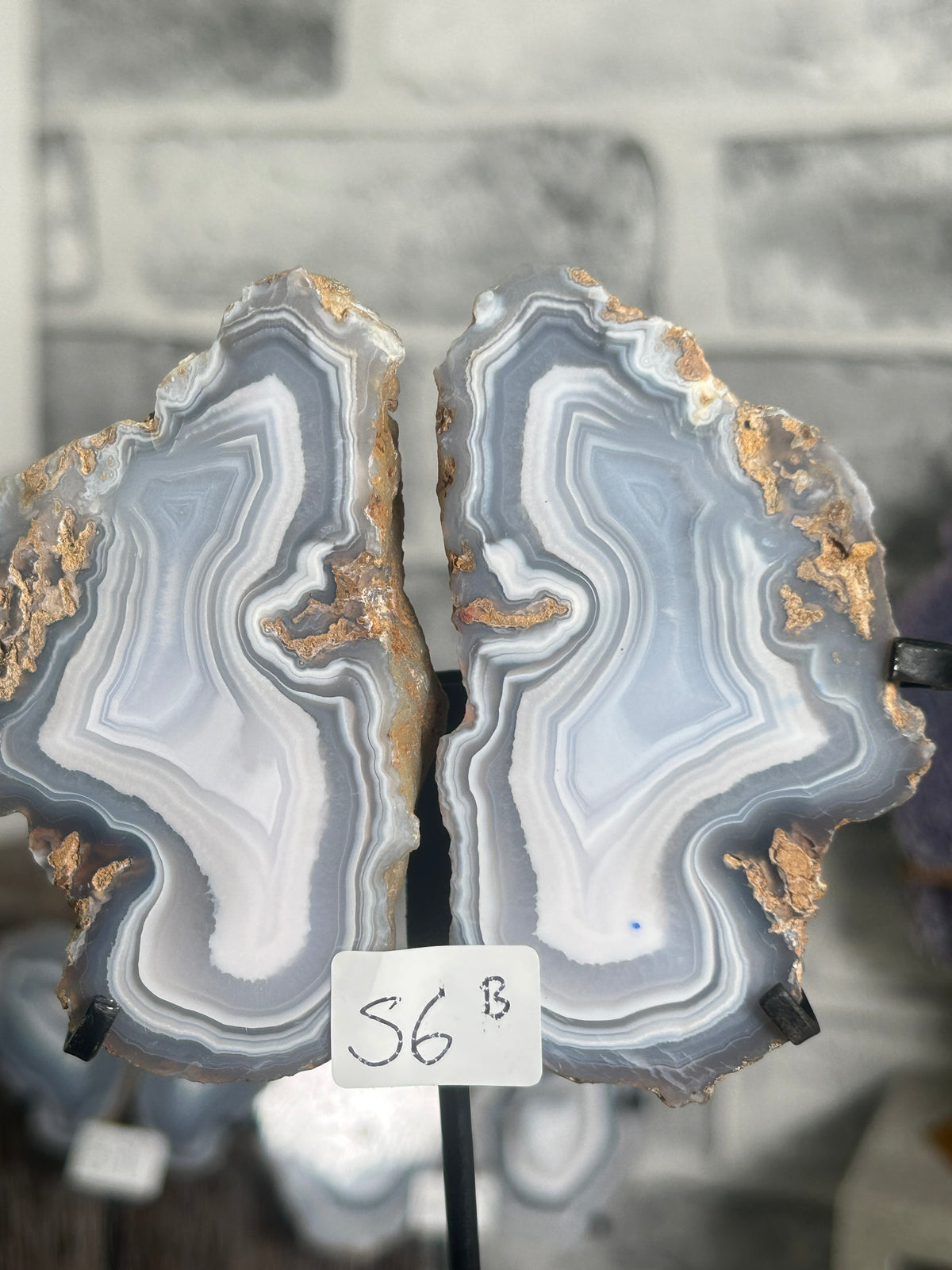 Shop Blue Banded Agate Nodule Pair B from Indonesia, displayed on a custom stand with dramatic blue-grey and white natural chalcedony banding.