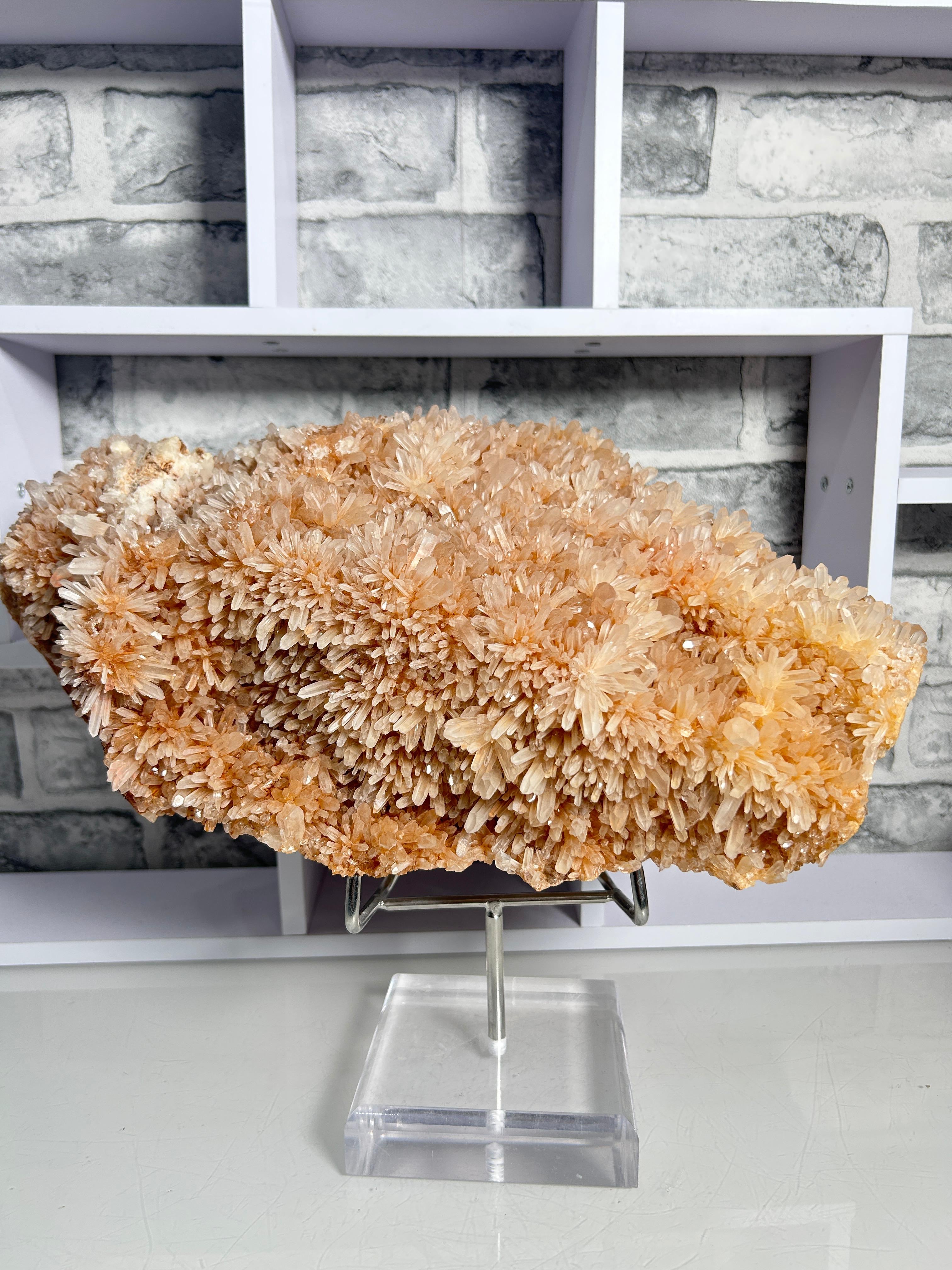 ✨Madagascan Radiating Quartz Cluster – 8kg Statement Specimen