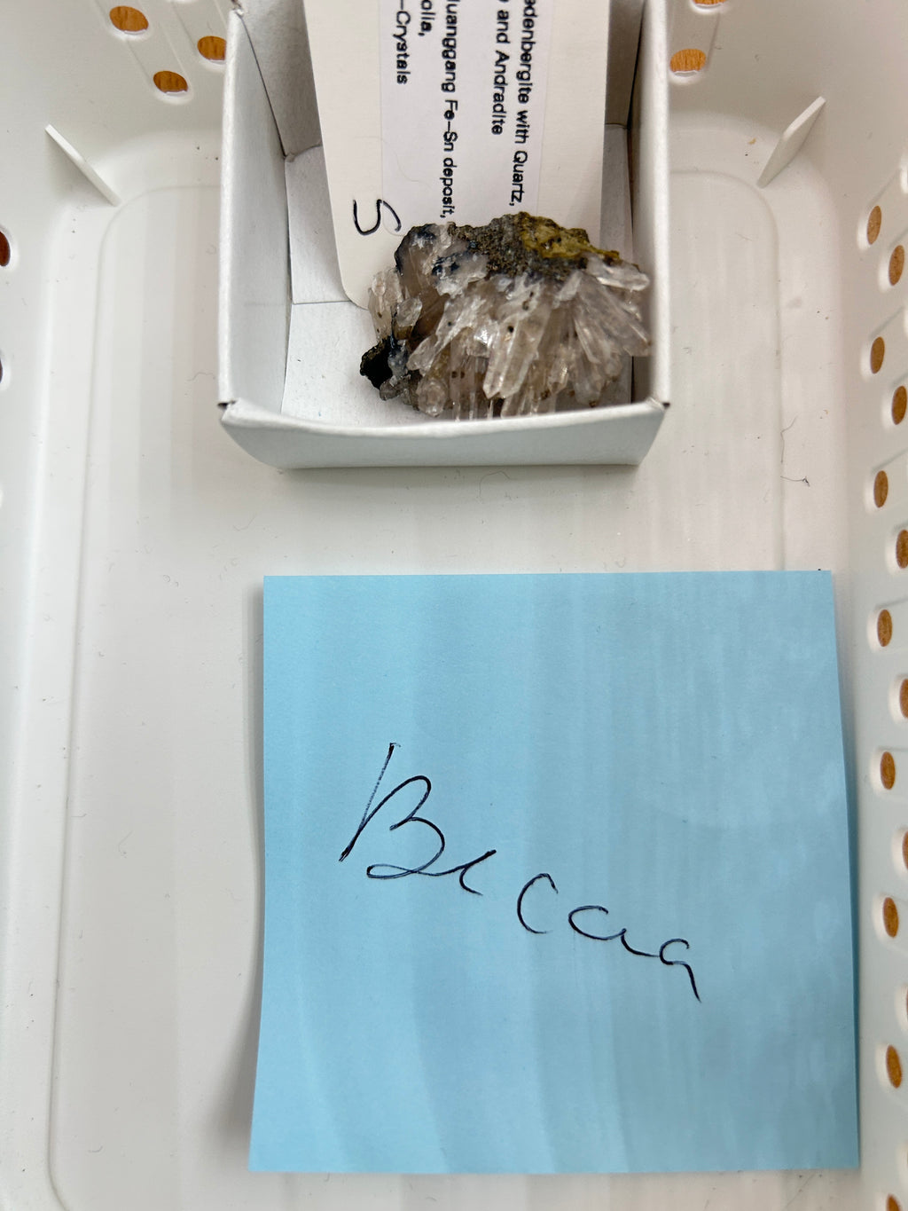 Live Sale Basket - Becca