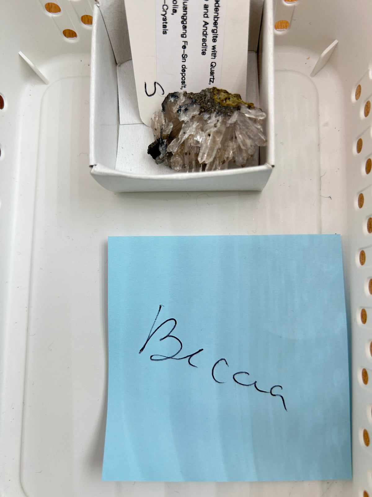 Live Sale Basket - Becca