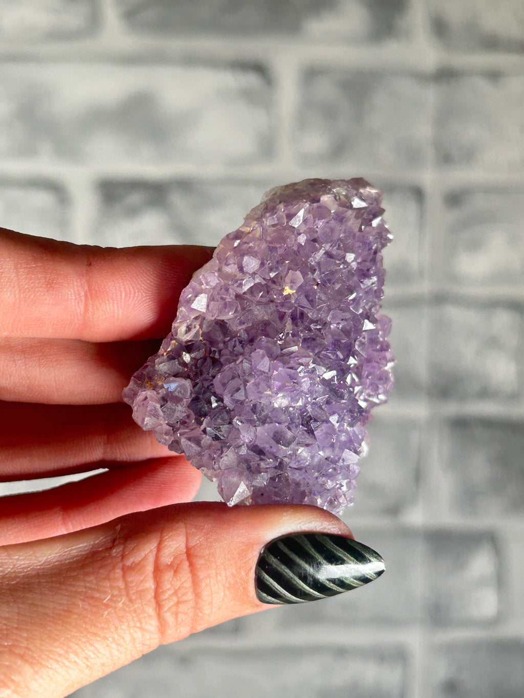 Brazilian Amethyst cluster