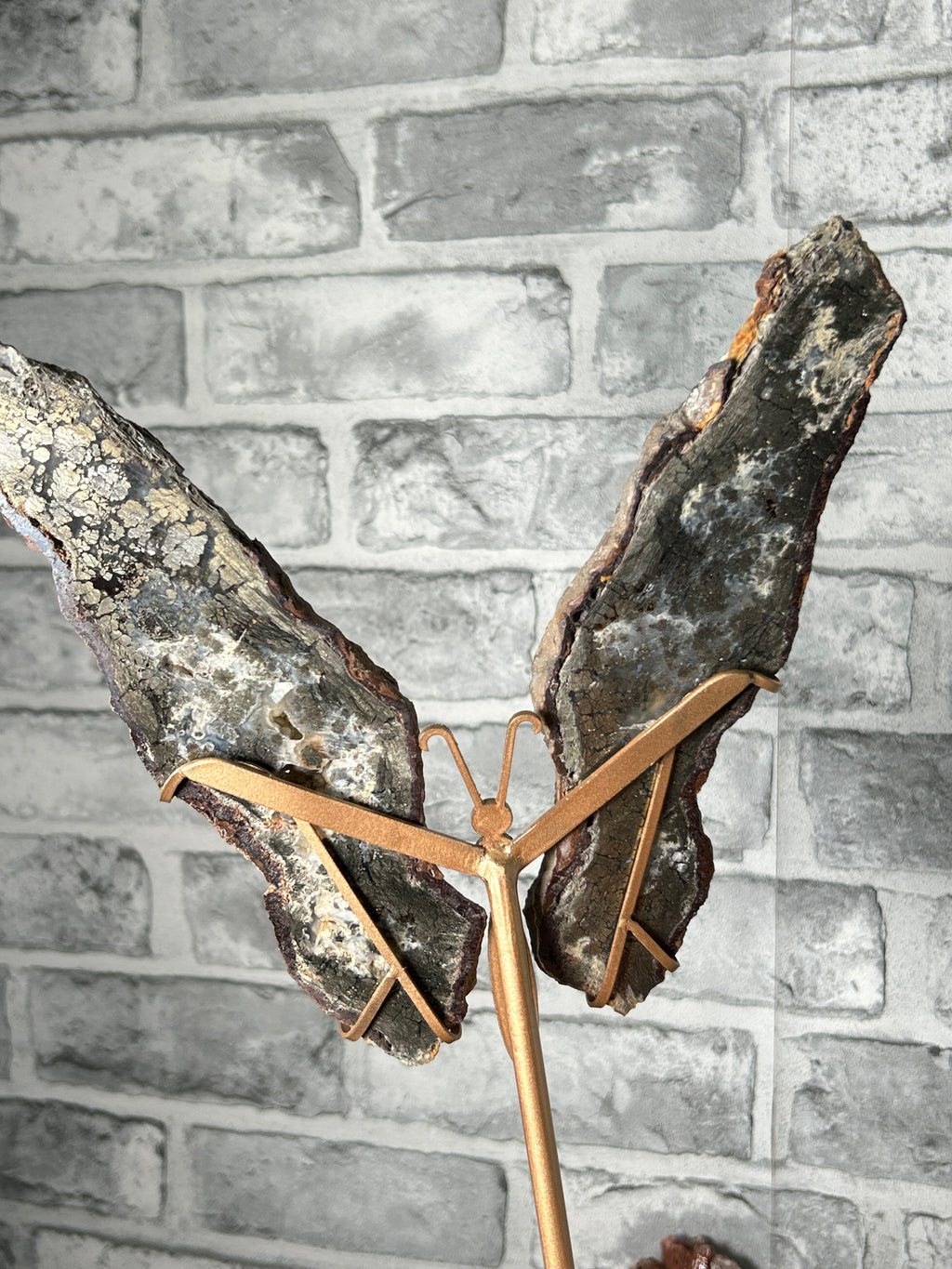 Marscasite butterfly wings