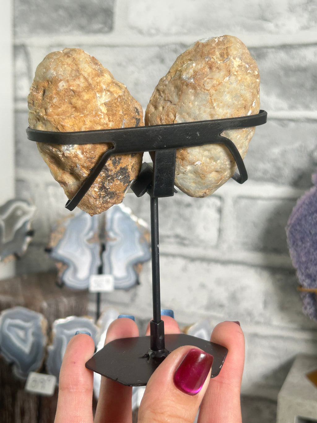 Blue Banded Agate Nodule Pair on Custom Stand A