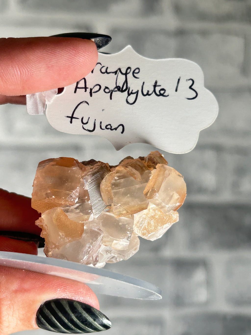 Orange Apophylltee from Fujian
