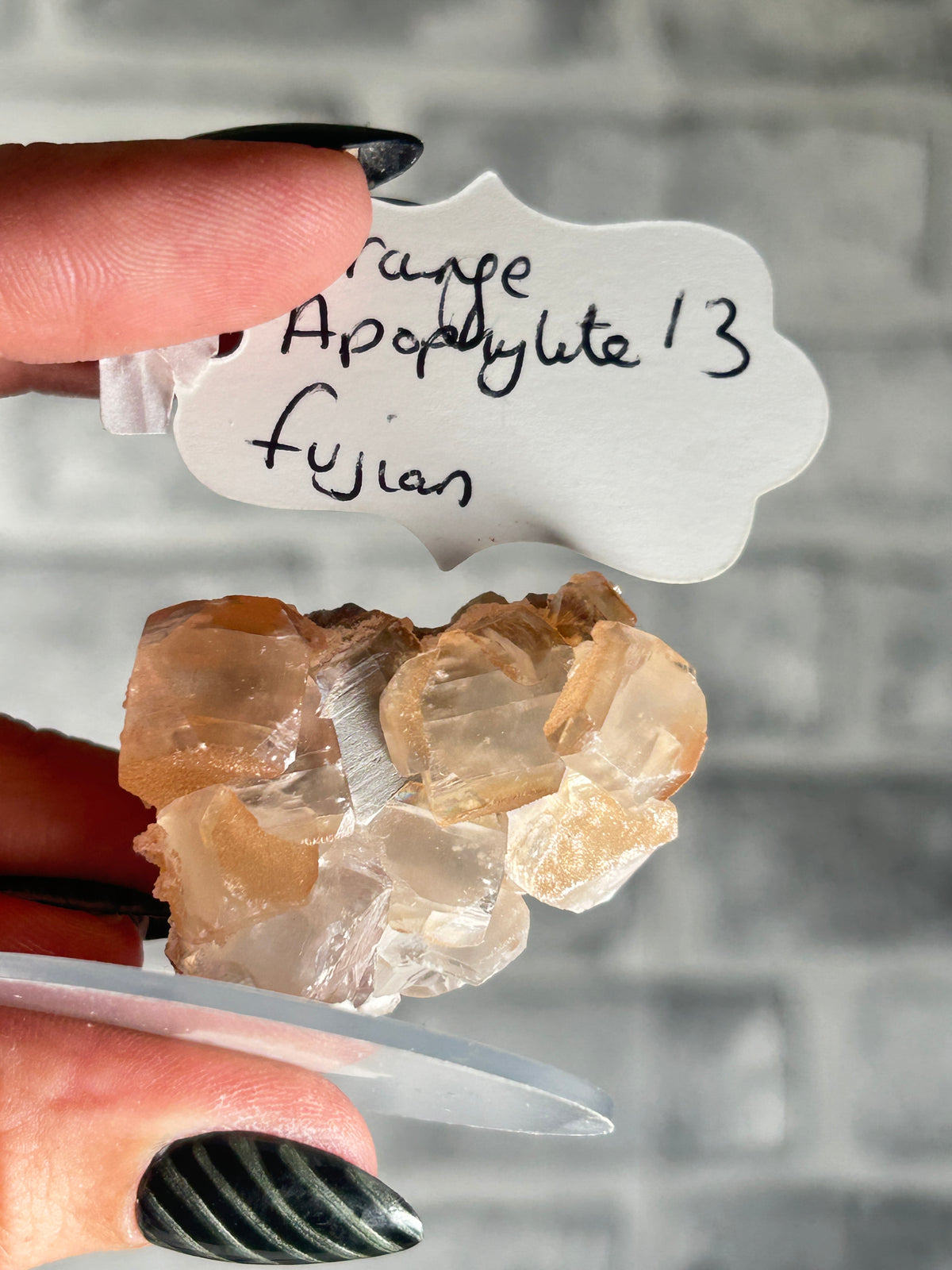 Orange Apophylltee from Fujian